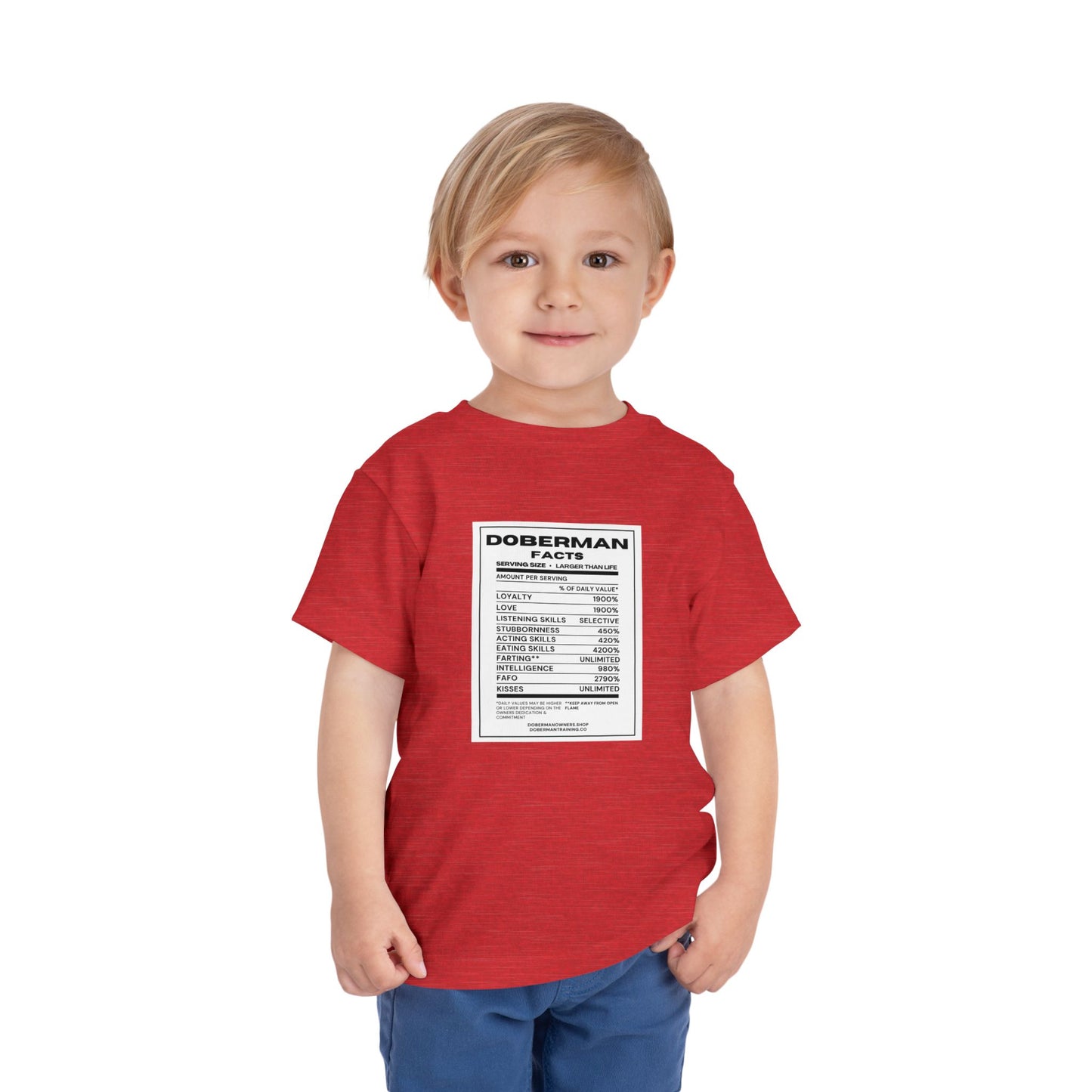 Doberman Facts 1 Toddler Short Sleeve Tee