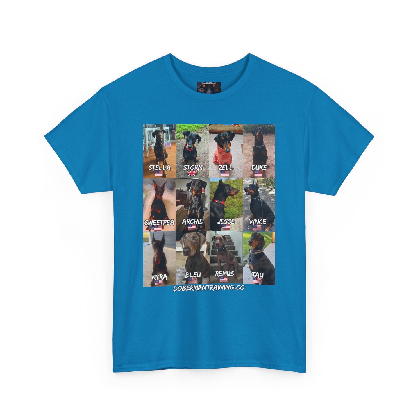 Fam 1 Sit Private Lable Unisex Heavy Cotton Tee
