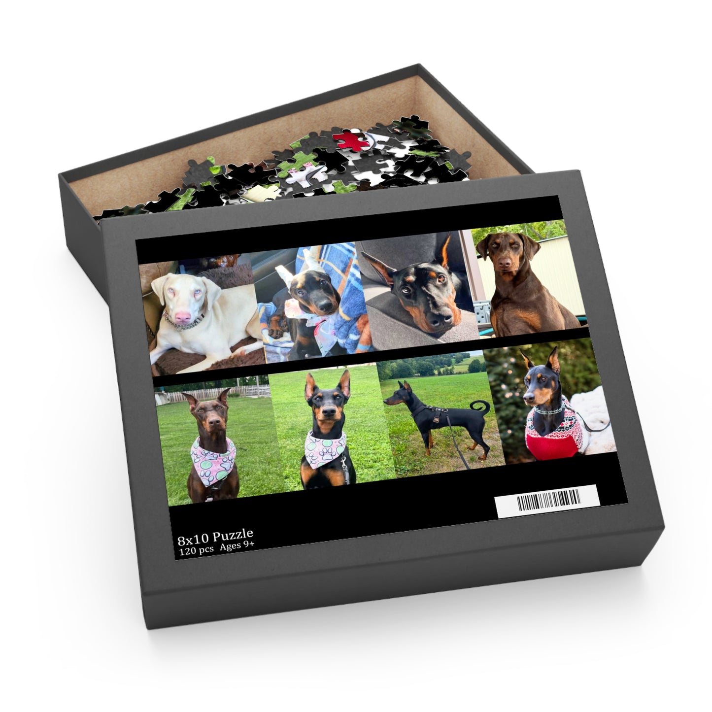 Limited Edition Doberman Community Jigsaw Puzzle 7