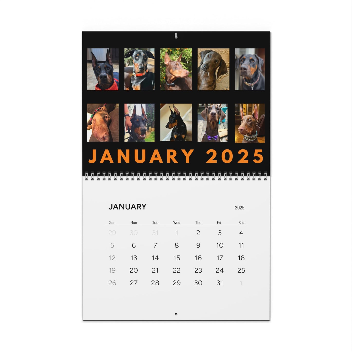 Doberman DTT 6th USA Edition Wall Calendars (2025)