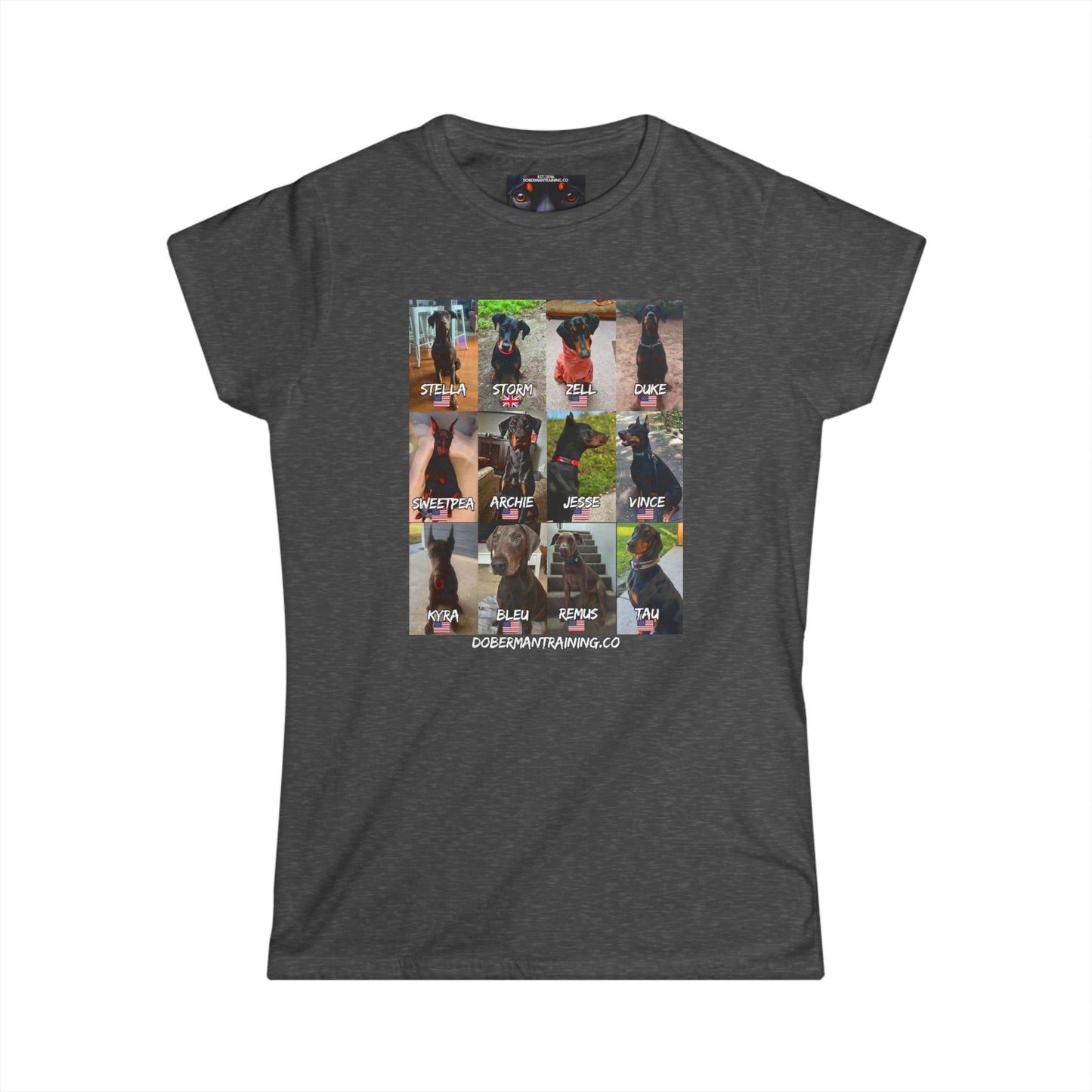 Fam 1 Sit Women's Softstyle Tee