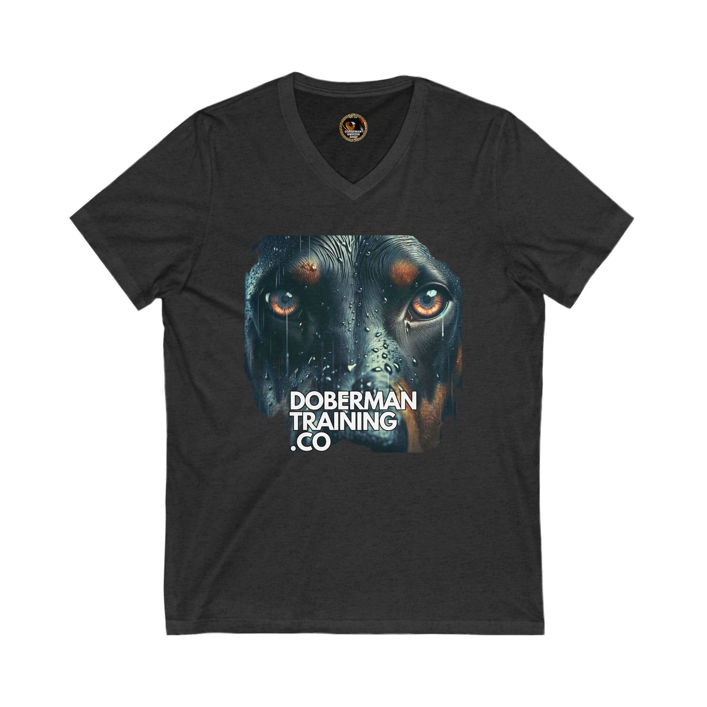 DTT 2 Private Lable Unisex Jersey Short Sleeve V-Neck Tee