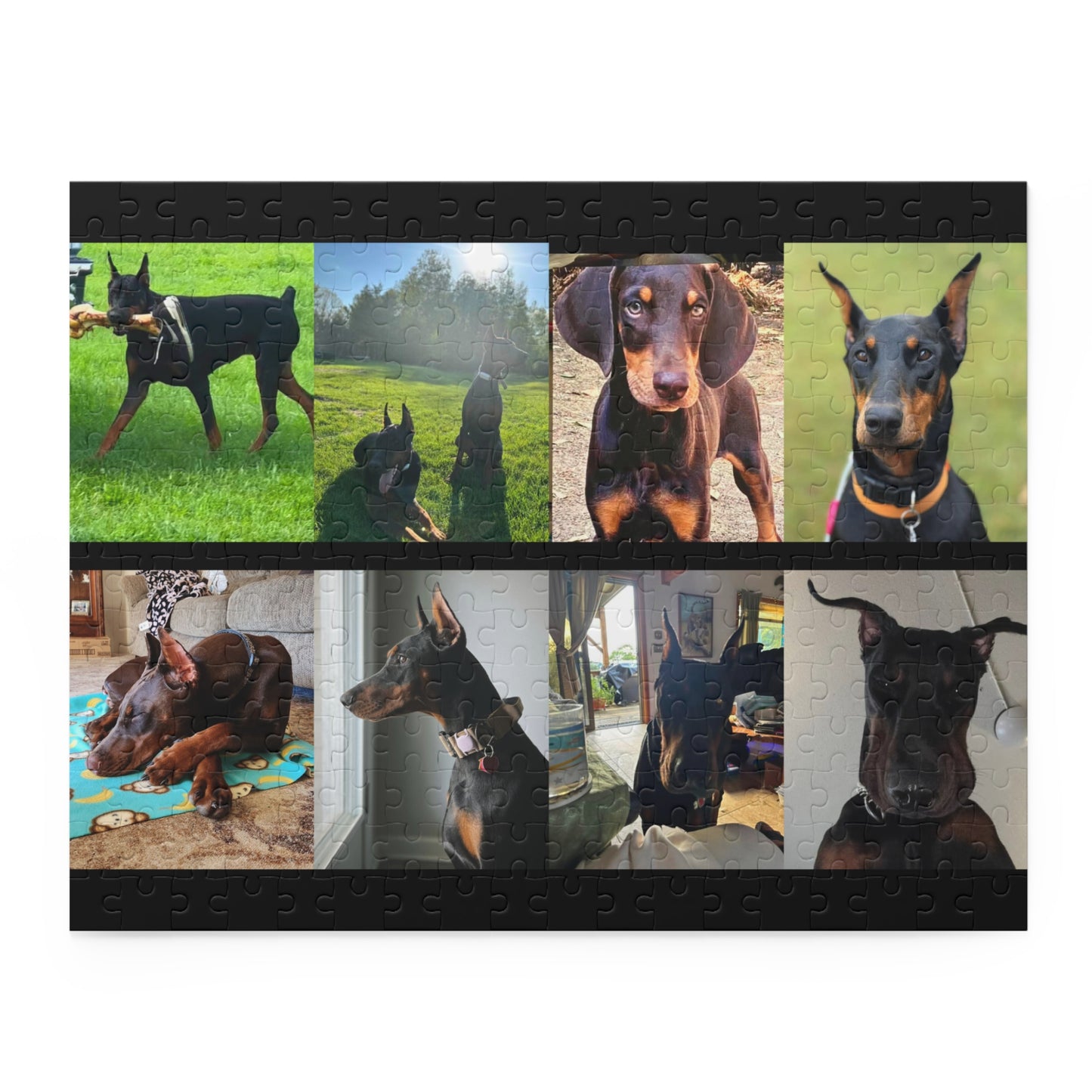 Limited Edition Doberman Community Jigsaw Puzzle 2