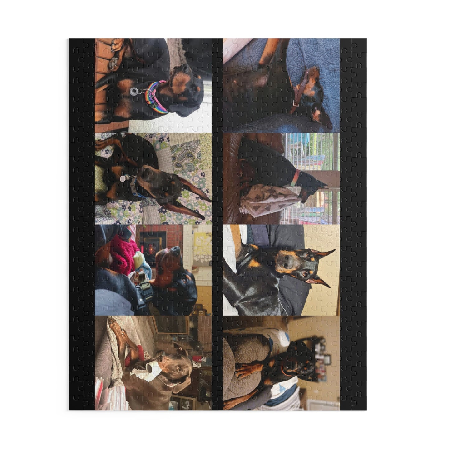 Limited Edition Doberman Community Jigsaw Puzzle 3