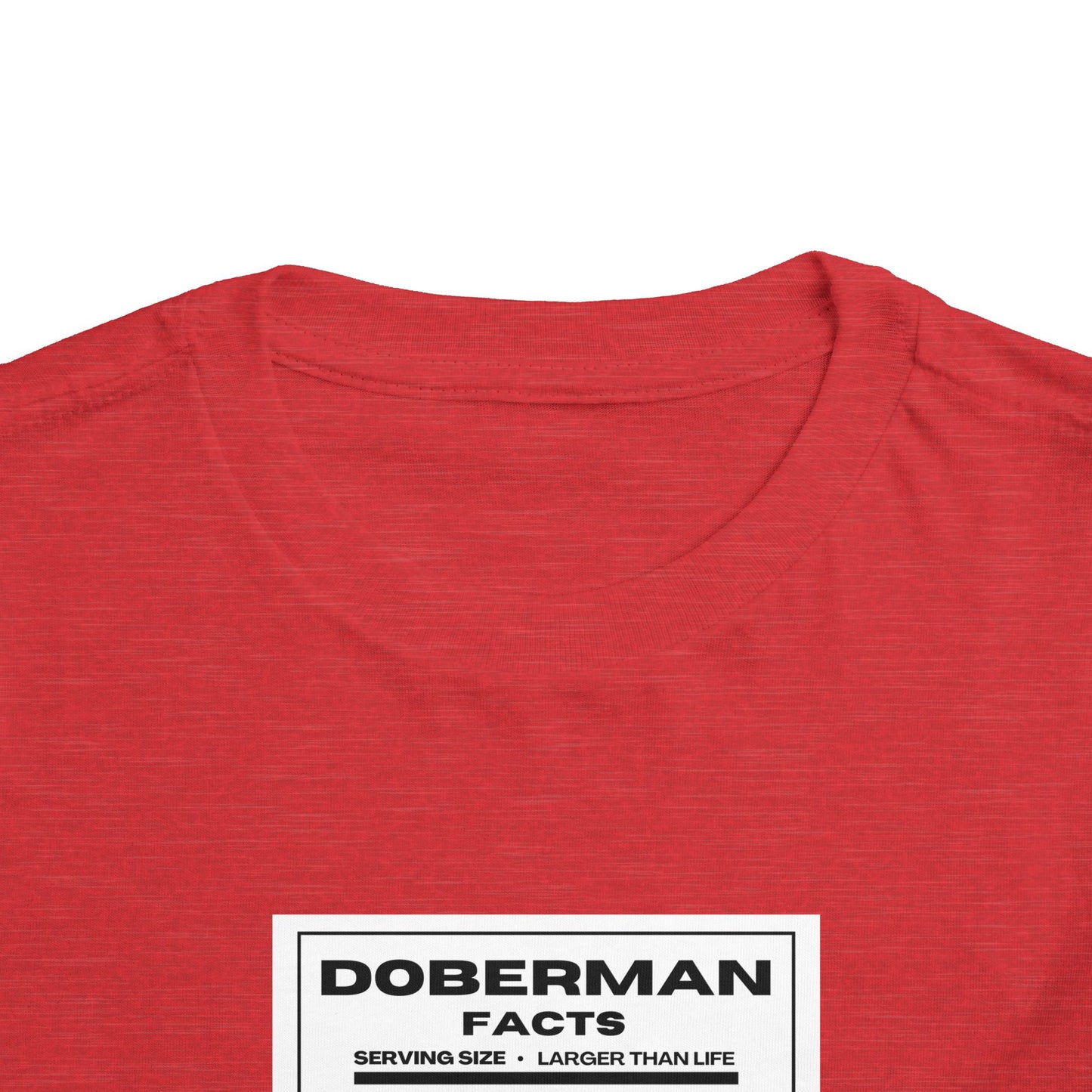 Doberman Facts 1 Toddler Short Sleeve Tee