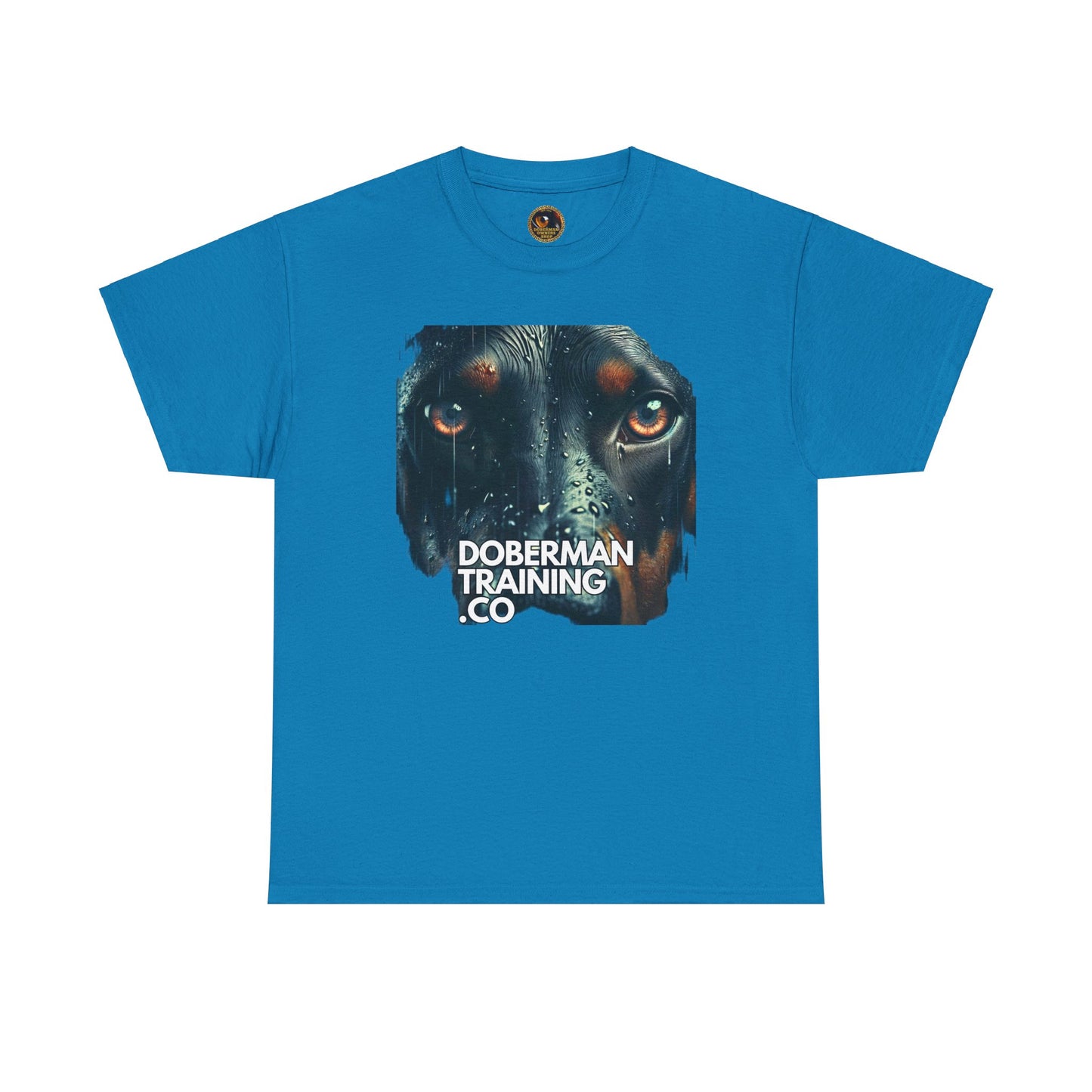 Training Group 2 Private Lable Unisex Heavy Cotton Tee