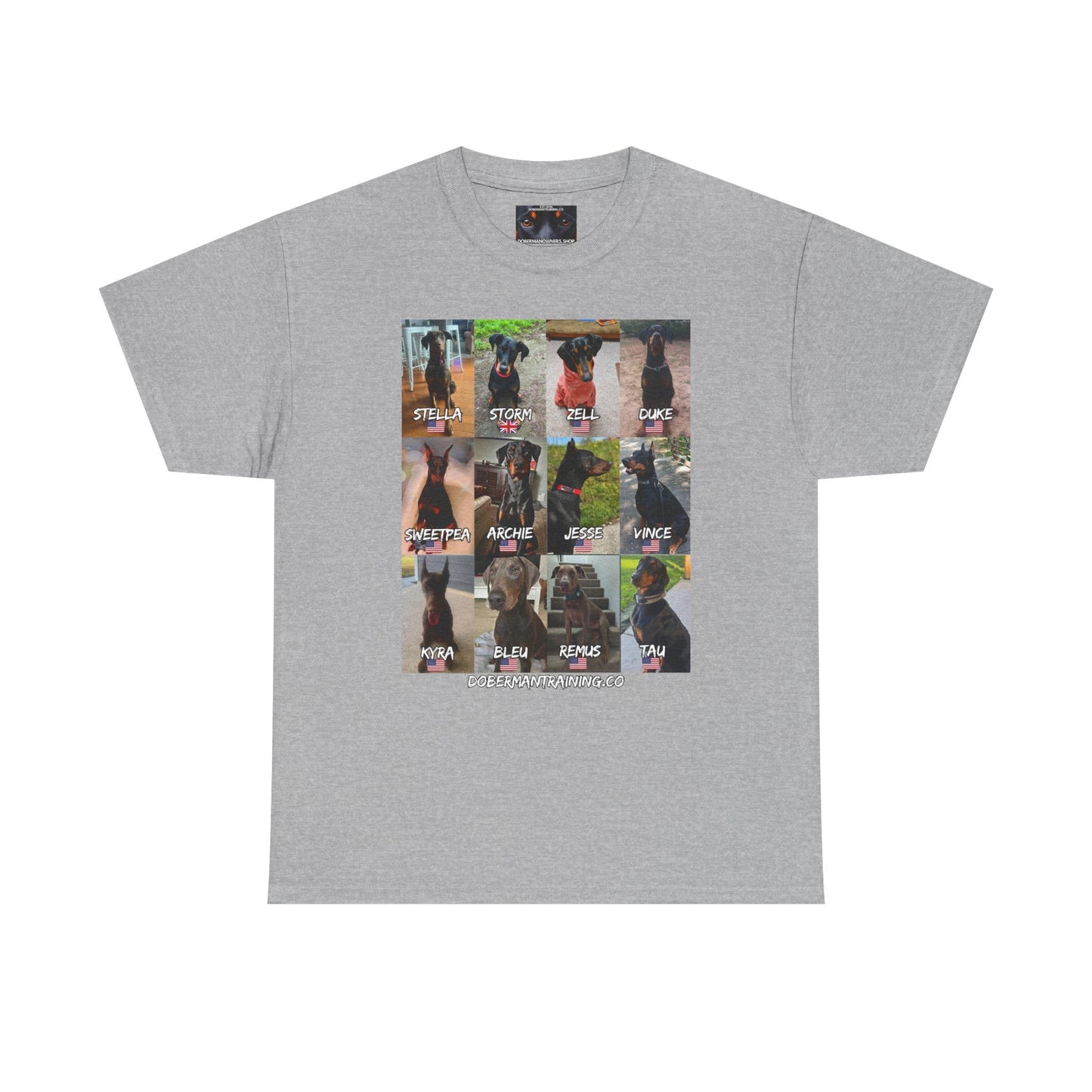 Fam 1 Sit Private Lable Unisex Heavy Cotton Tee