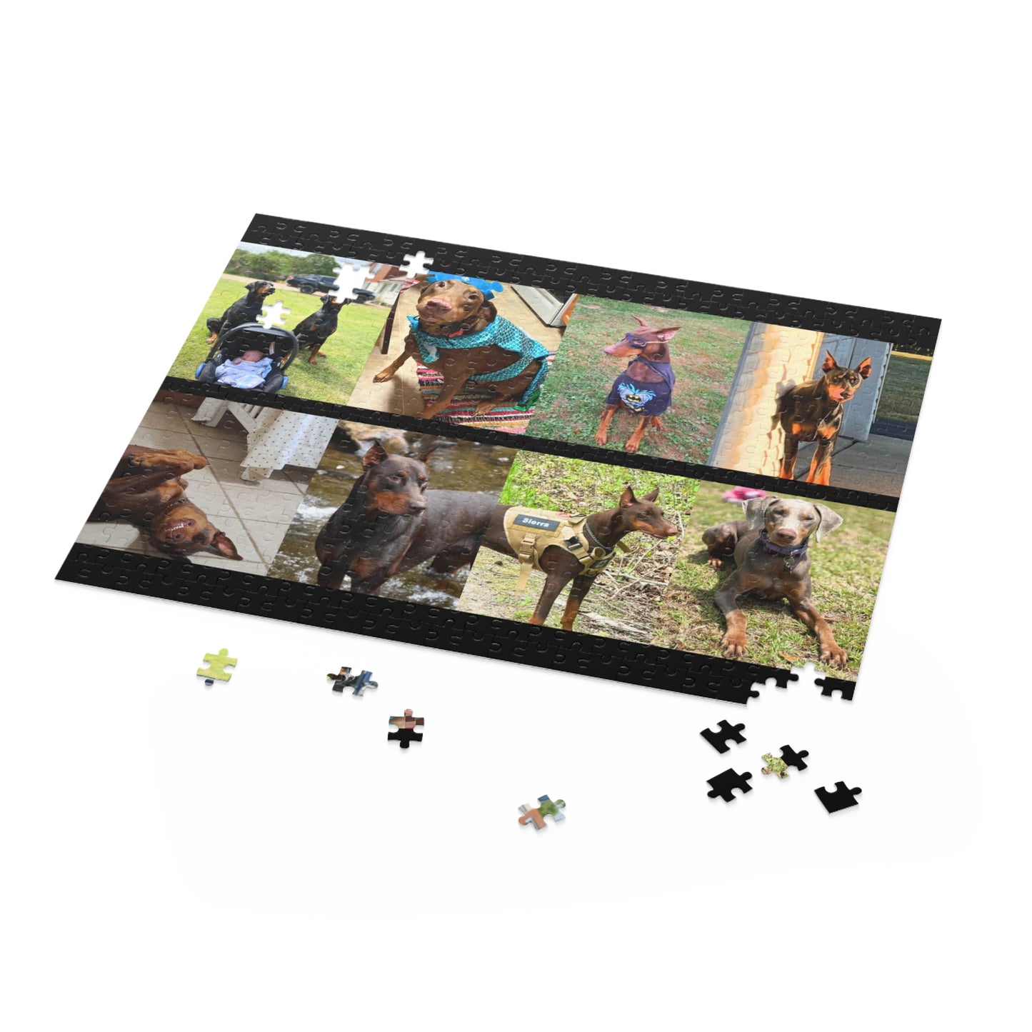 Limited Edition Doberman Community Jigsaw Puzzle 11