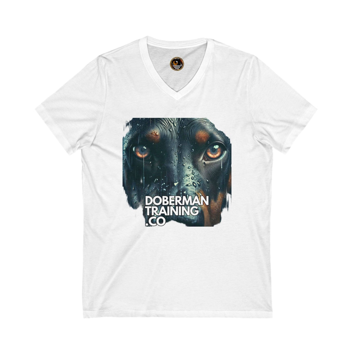 DTT 2 Private Lable Unisex Jersey Short Sleeve V-Neck Tee