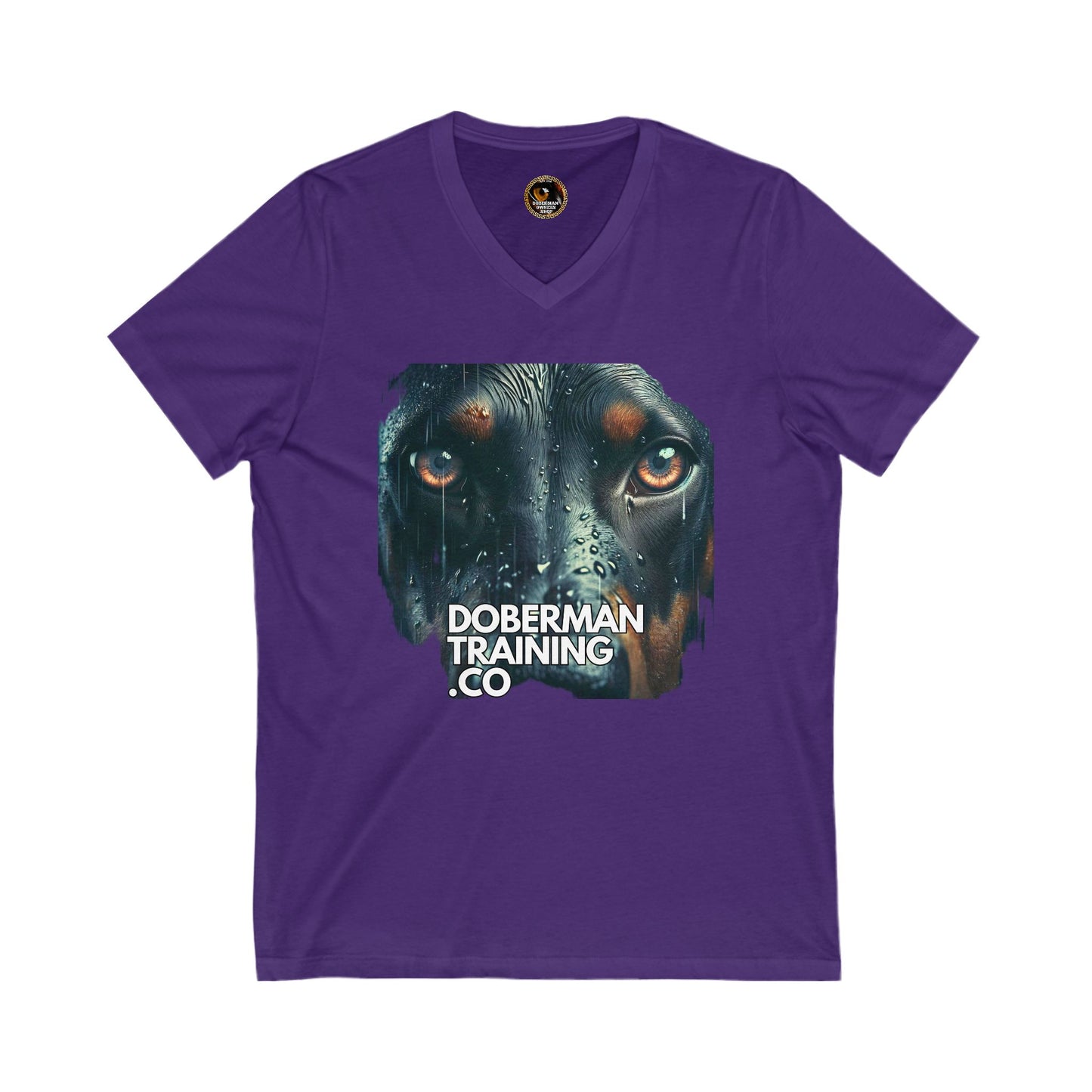 DTT 2 Private Lable Unisex Jersey Short Sleeve V-Neck Tee