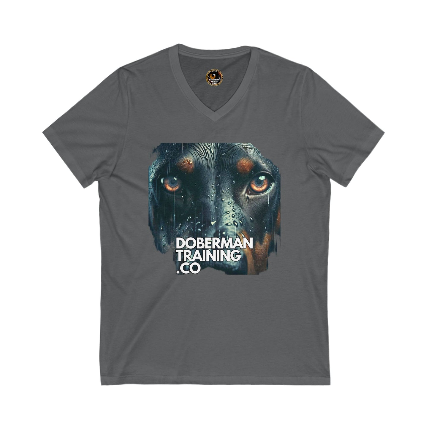 DTT 2 Private Lable Unisex Jersey Short Sleeve V-Neck Tee