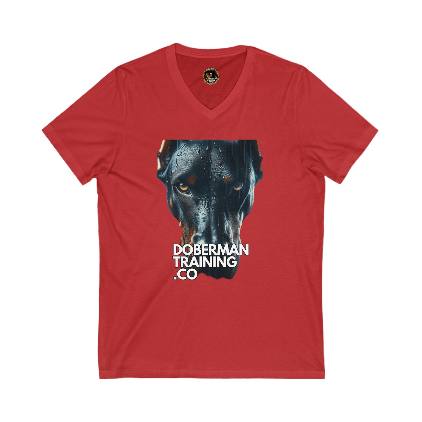 DTT 1 Private Label Unisex Jersey Short Sleeve V-Neck Tee