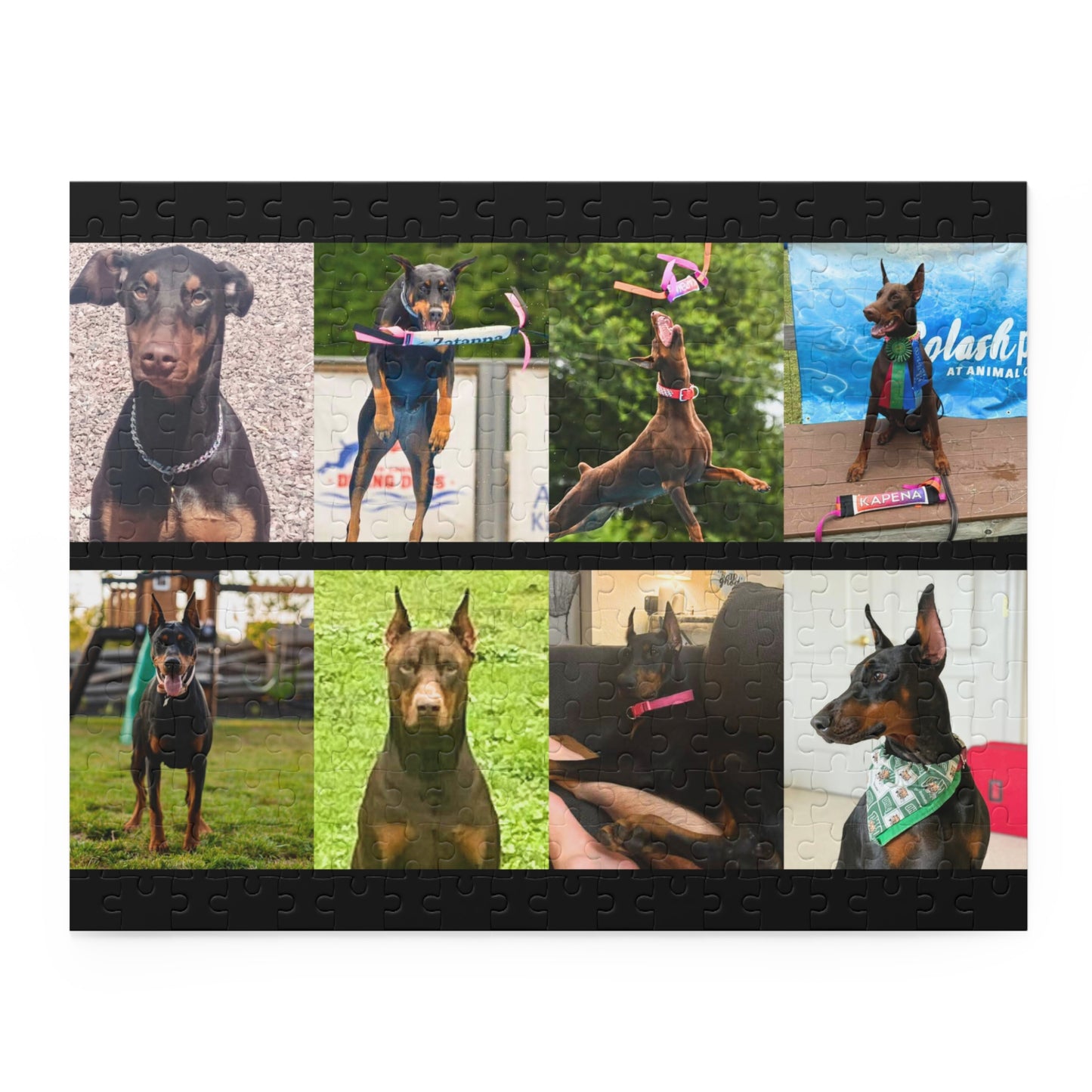 Limited Edition Doberman Community Jigsaw Puzzle 9