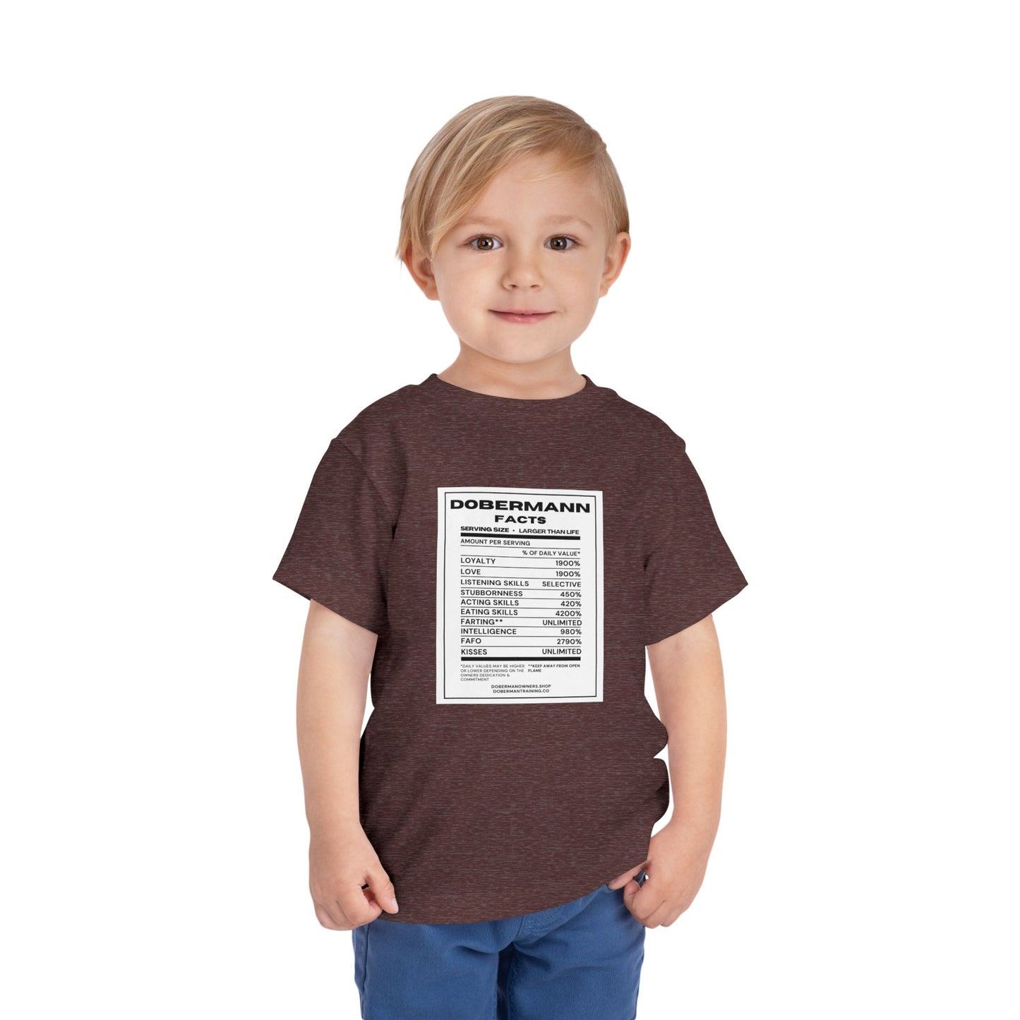 Dobermann Facts 1 Toddler Short Sleeve Tee