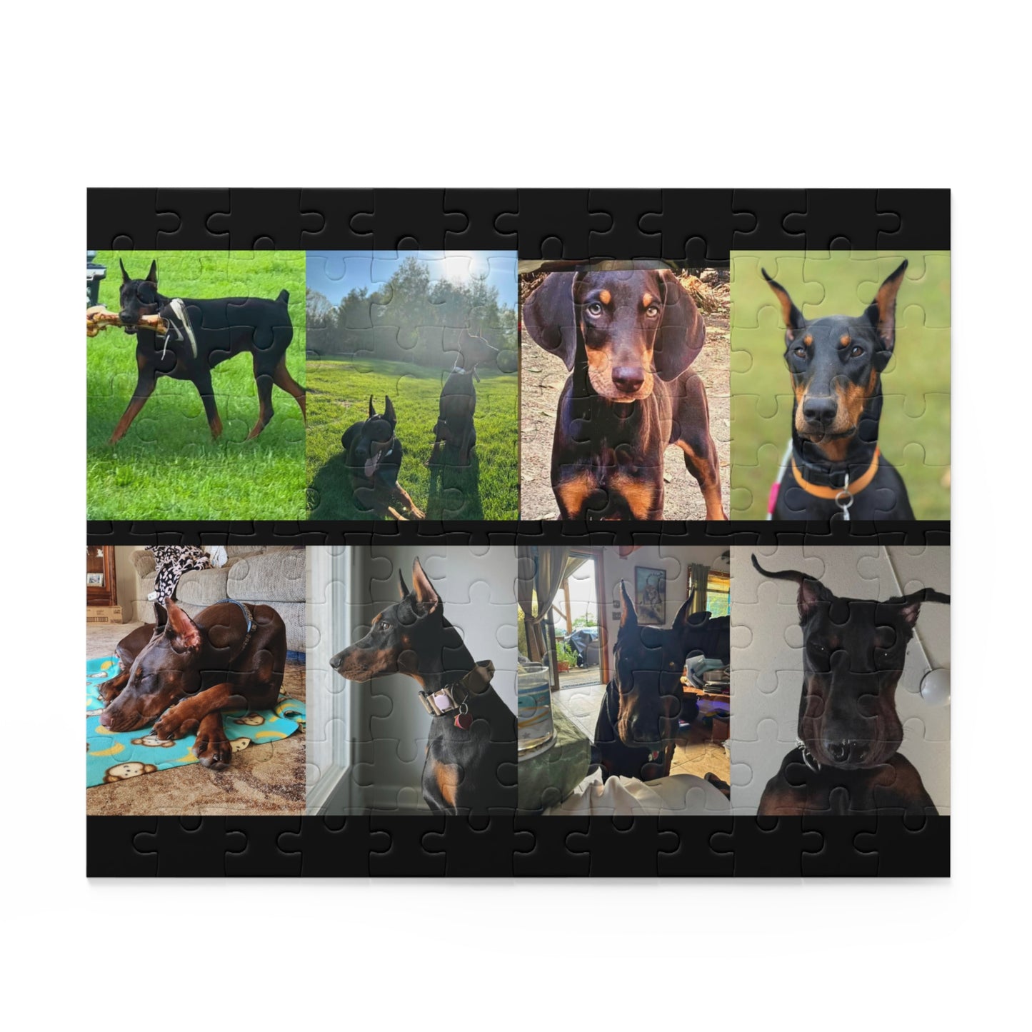 Limited Edition Doberman Community Jigsaw Puzzle 2