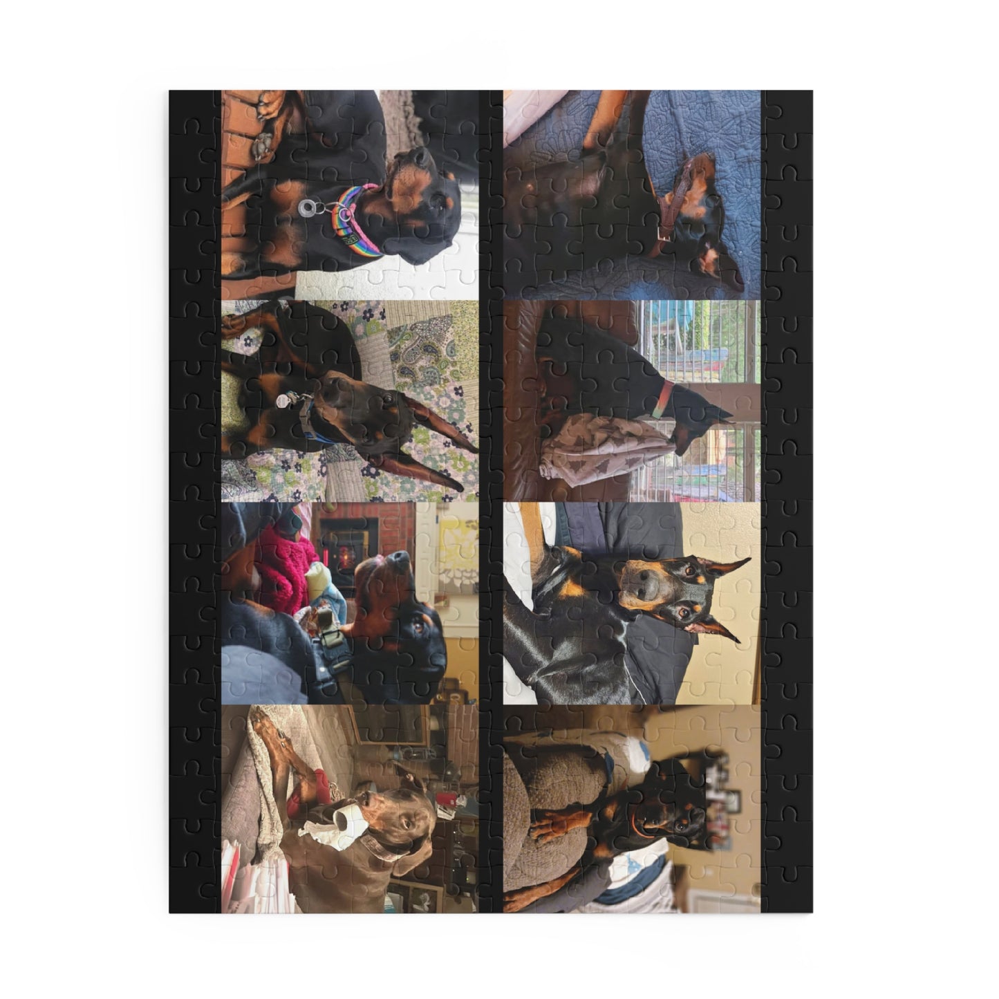 Limited Edition Doberman Community Jigsaw Puzzle 3