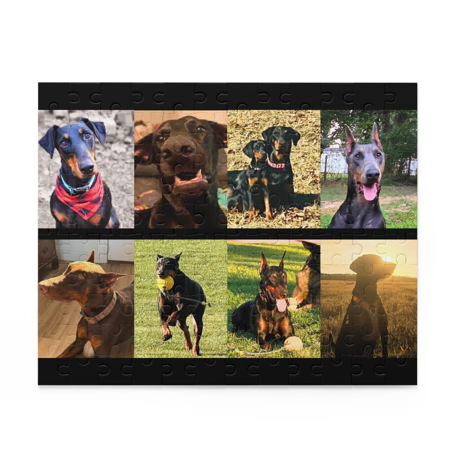 Limited Edition Doberman Community Jigsaw Puzzle 13