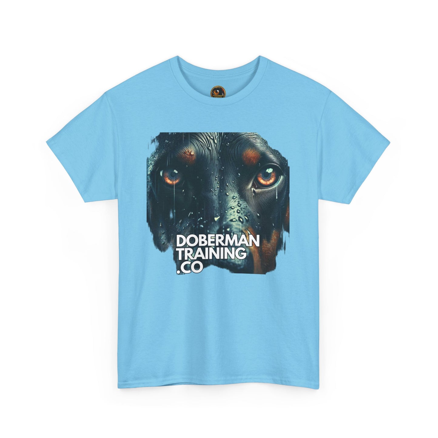 Training Group 2 Private Lable Unisex Heavy Cotton Tee