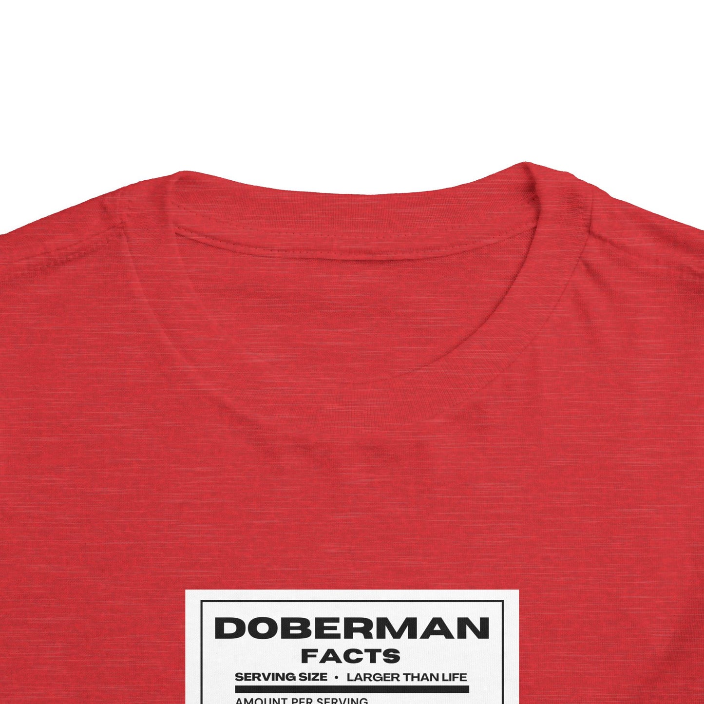 Doberman Facts 1 Toddler Short Sleeve Tee