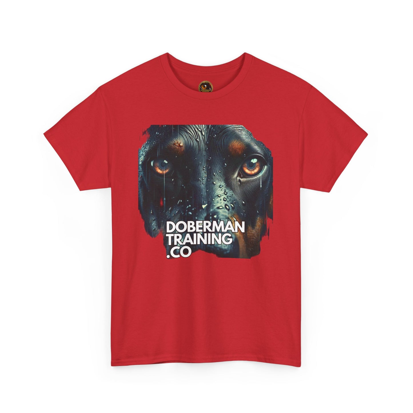 Training Group 2 Private Lable Unisex Heavy Cotton Tee