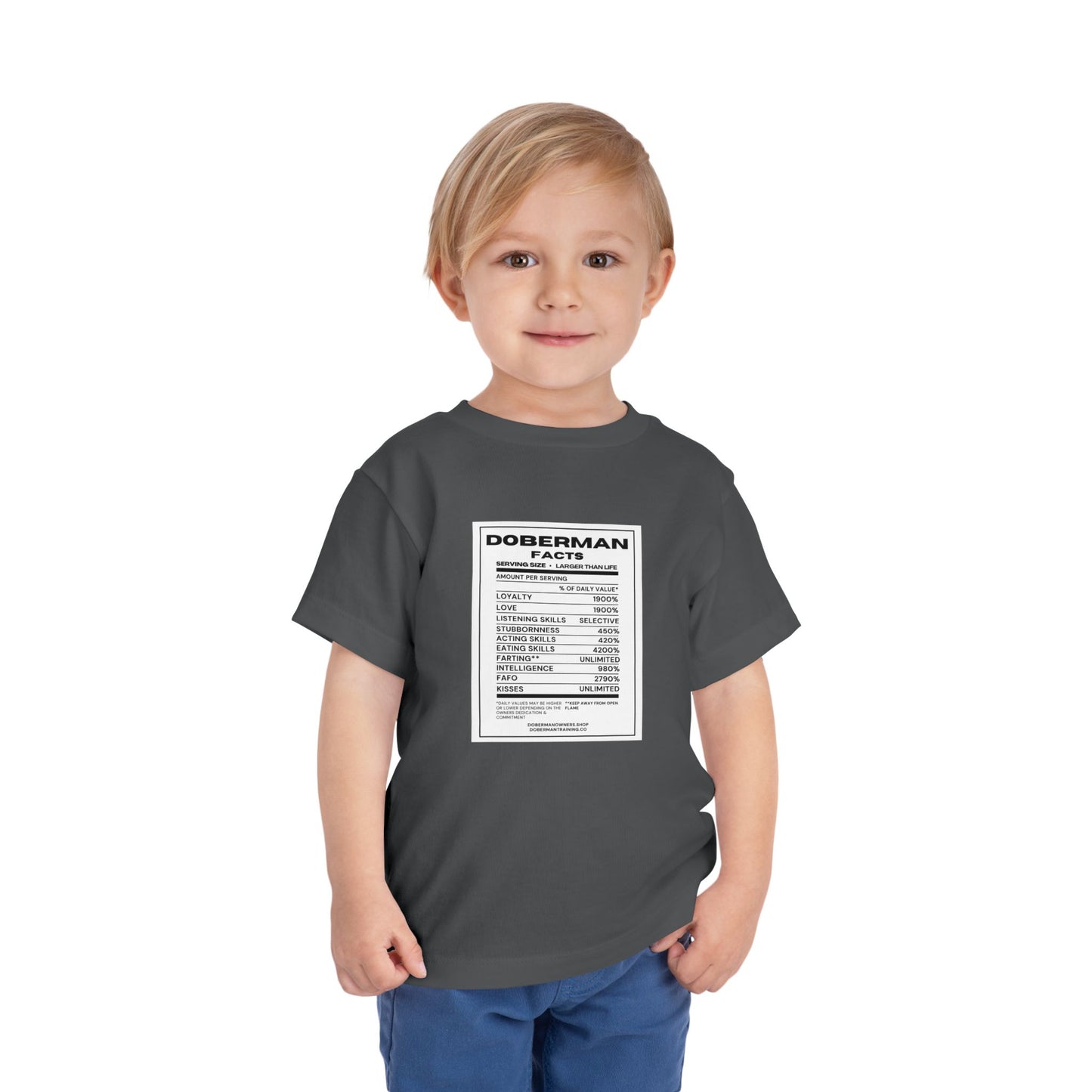 Doberman Facts 1 Toddler Short Sleeve Tee