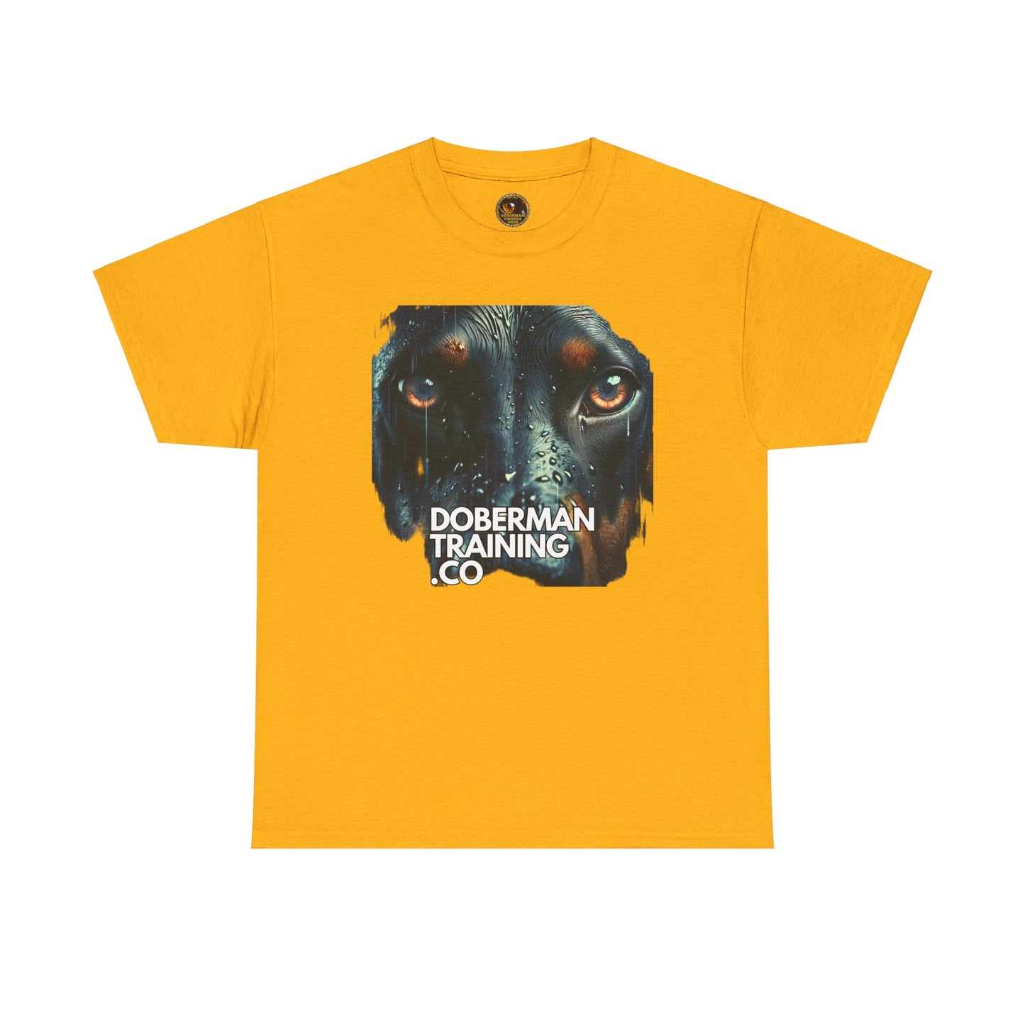 Training Group 2 Private Lable Unisex Heavy Cotton Tee