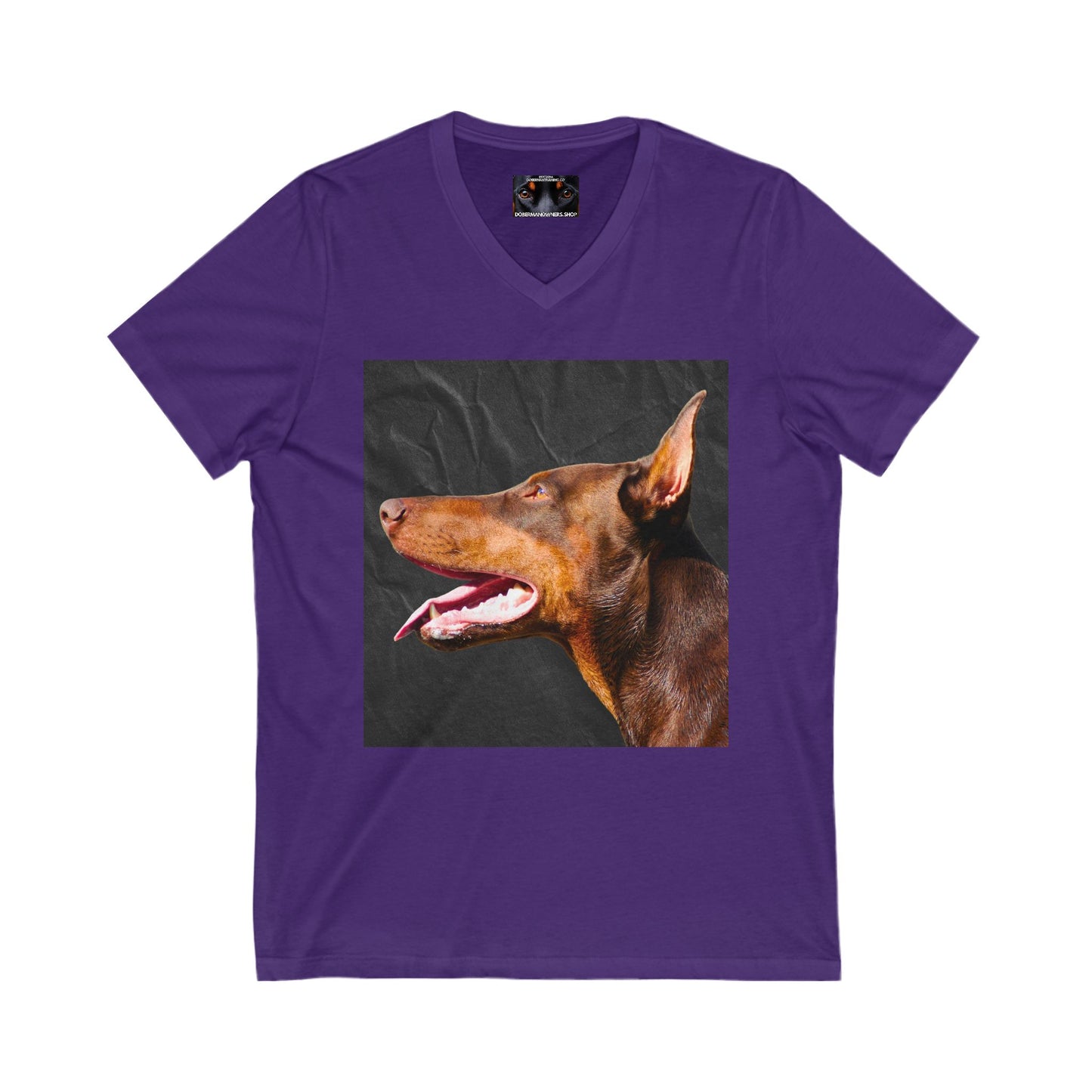 The Look 2 Private Label Unisex Jersey Short Sleeve V-Neck Tee