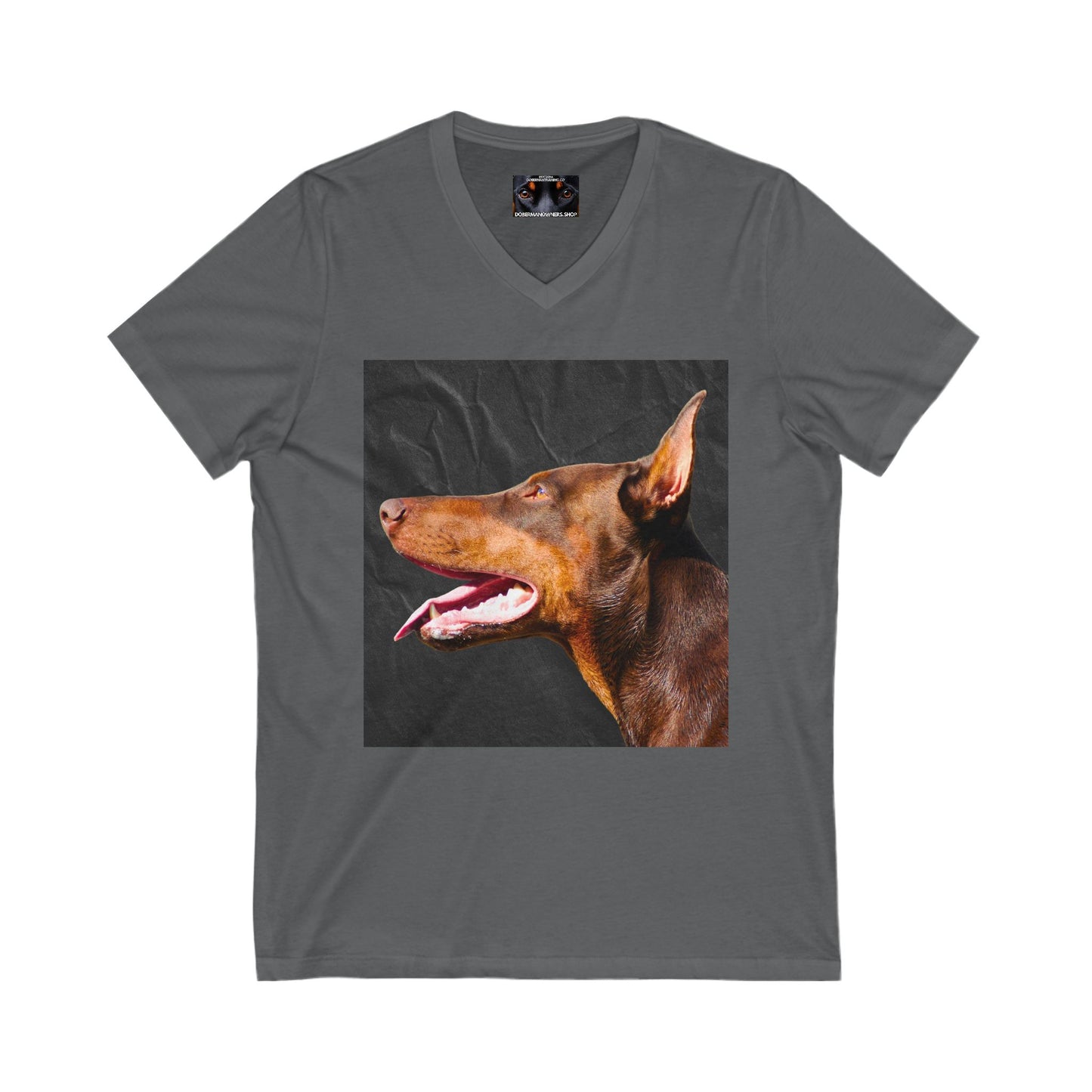 The Look 2 Private Label Unisex Jersey Short Sleeve V-Neck Tee