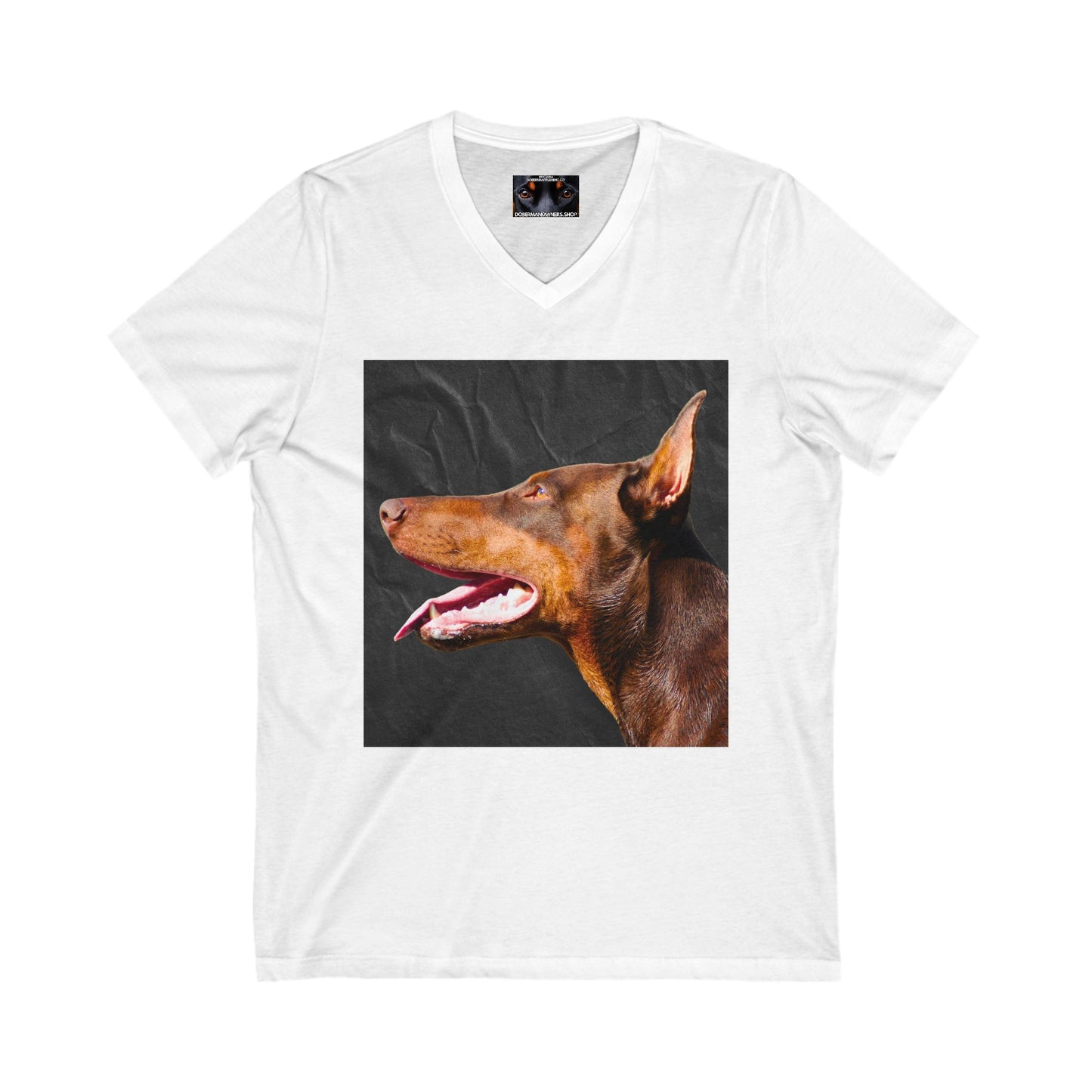 The Look 2 Private Label Unisex Jersey Short Sleeve V-Neck Tee