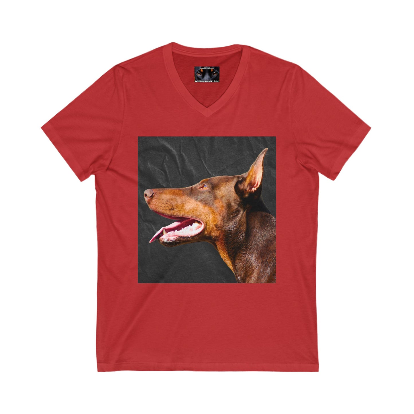 The Look 2 Private Label Unisex Jersey Short Sleeve V-Neck Tee