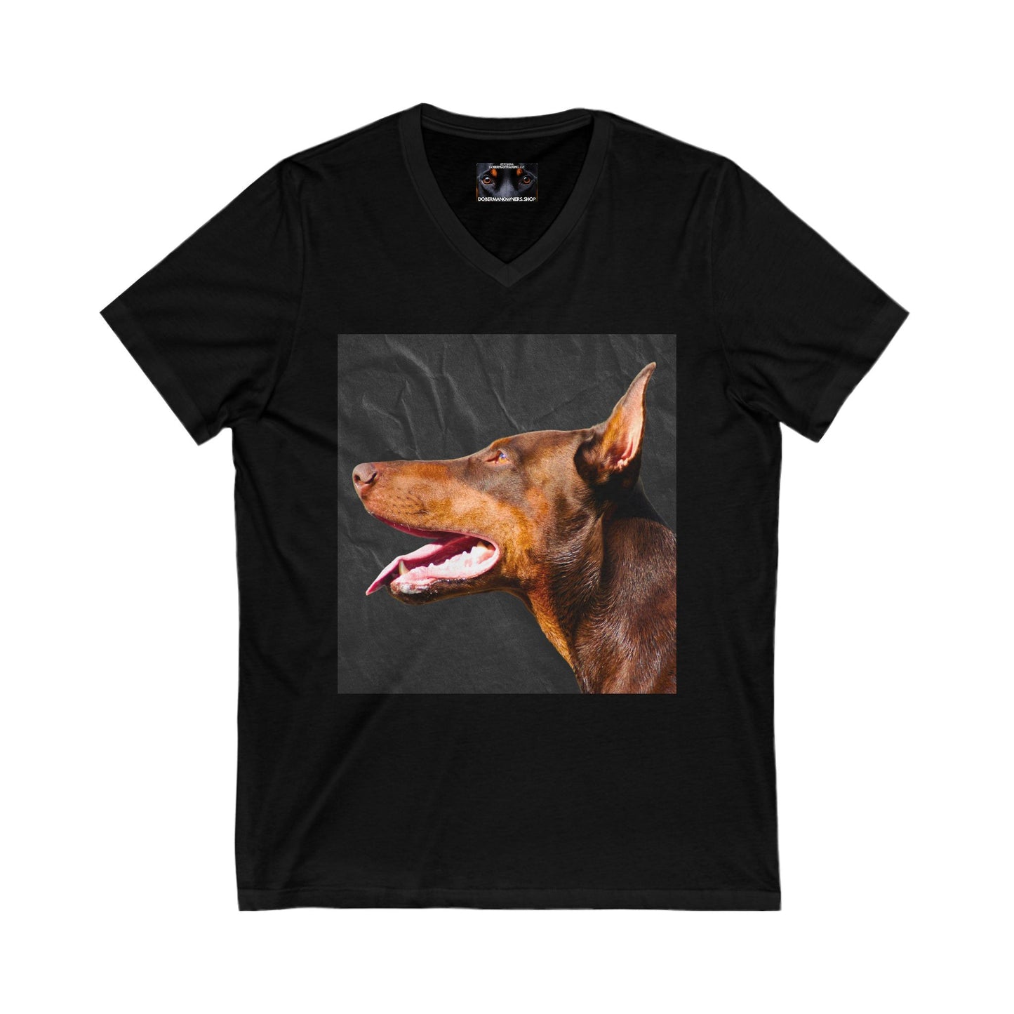 The Look 2 Private Label Unisex Jersey Short Sleeve V-Neck Tee