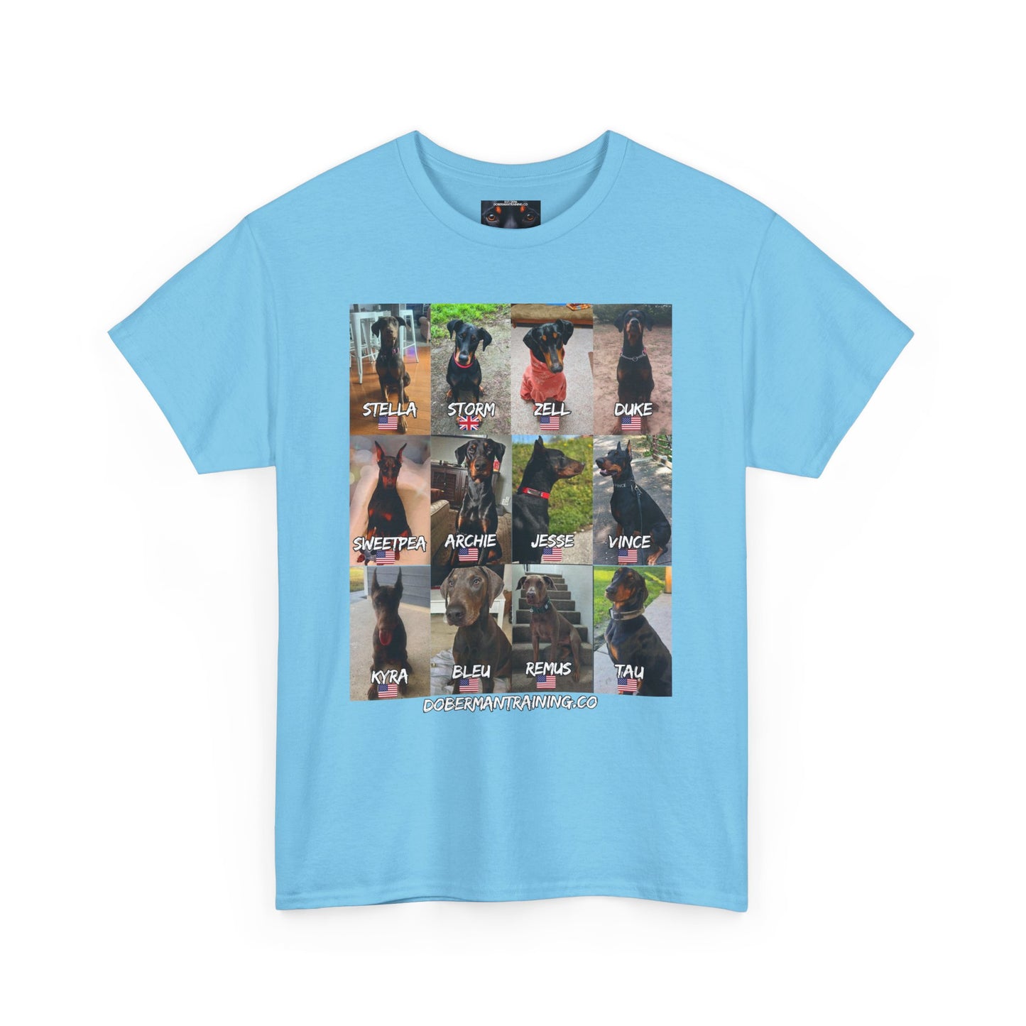 Fam 1 Sit Private Lable Unisex Heavy Cotton Tee