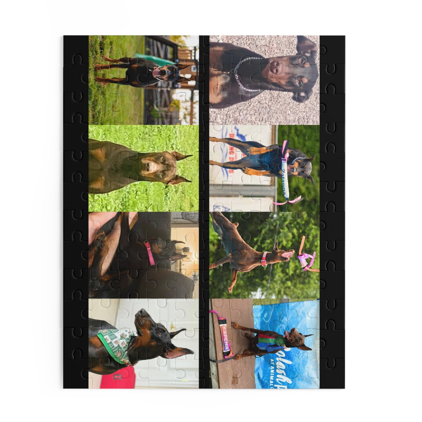 Limited Edition Doberman Community Jigsaw Puzzle 9