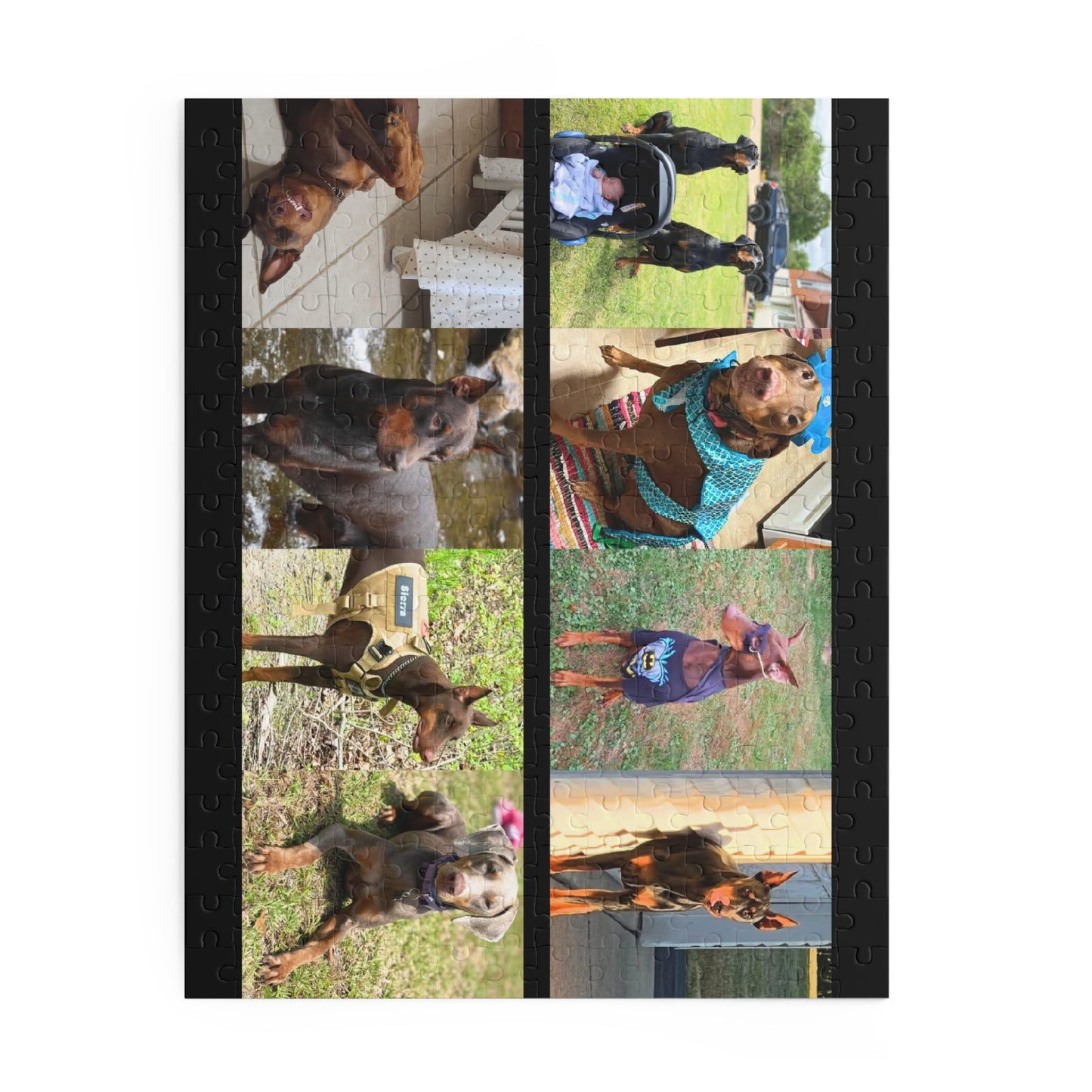 Limited Edition Doberman Community Jigsaw Puzzle 11