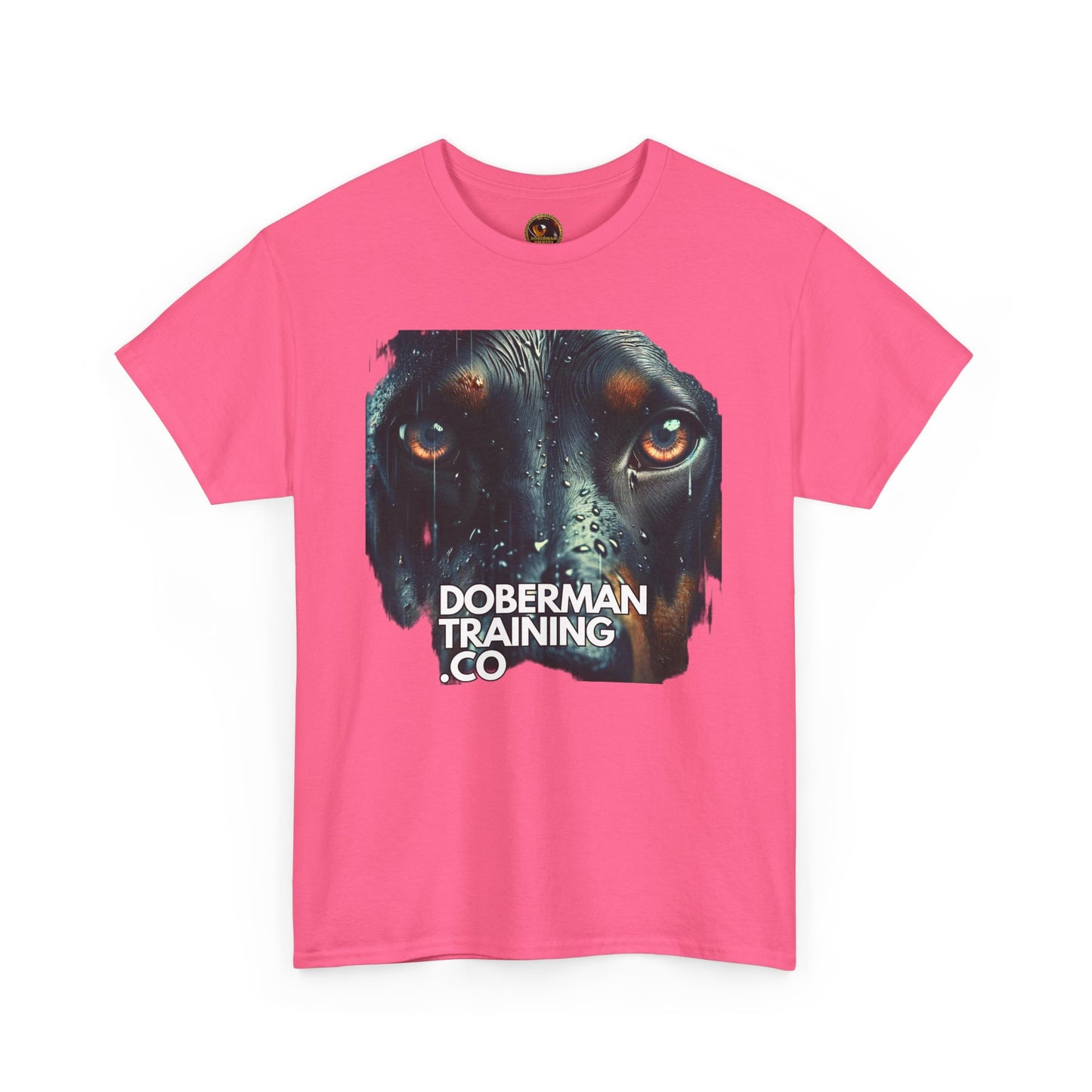 Training Group 2 Private Lable Unisex Heavy Cotton Tee