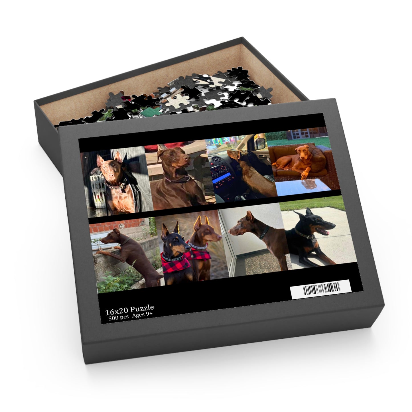 Limited Edition Doberman Community Jigsaw Puzzle 5