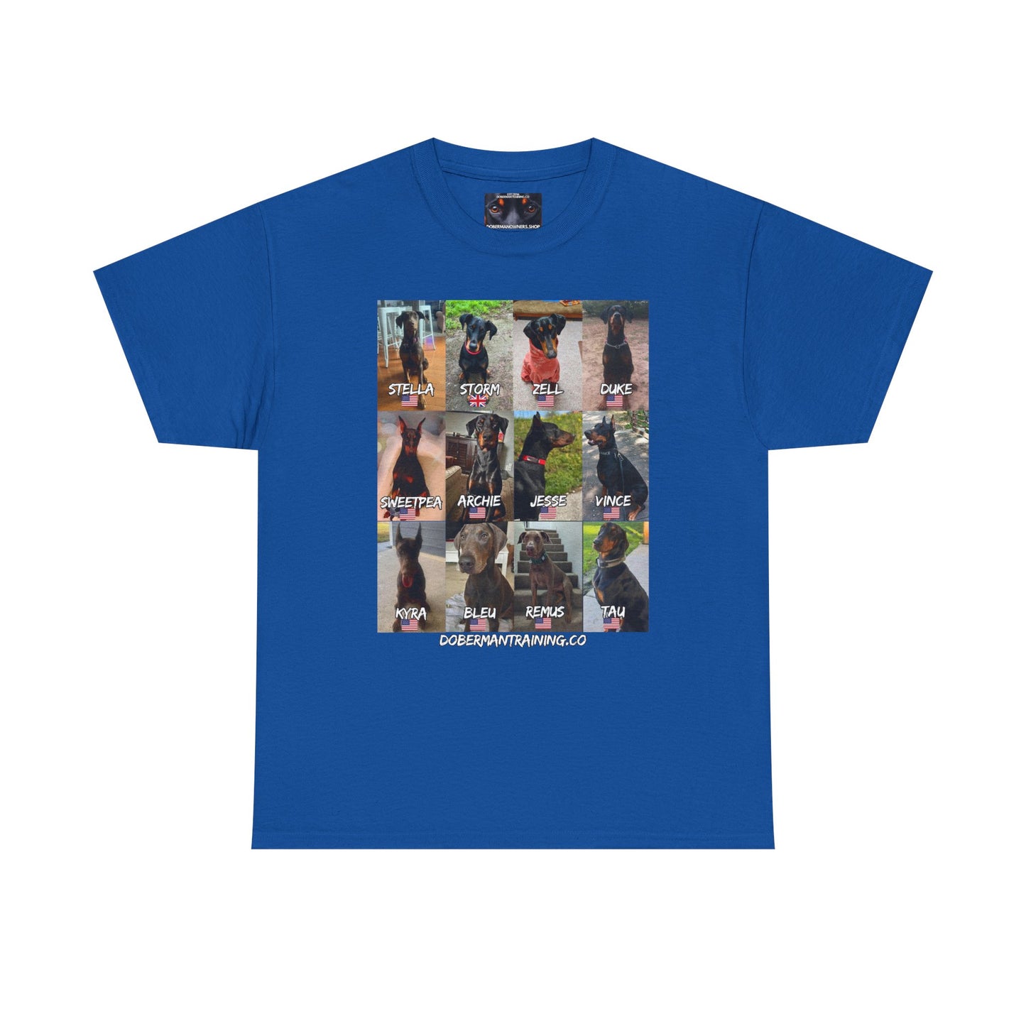 Fam 1 Sit Private Lable Unisex Heavy Cotton Tee