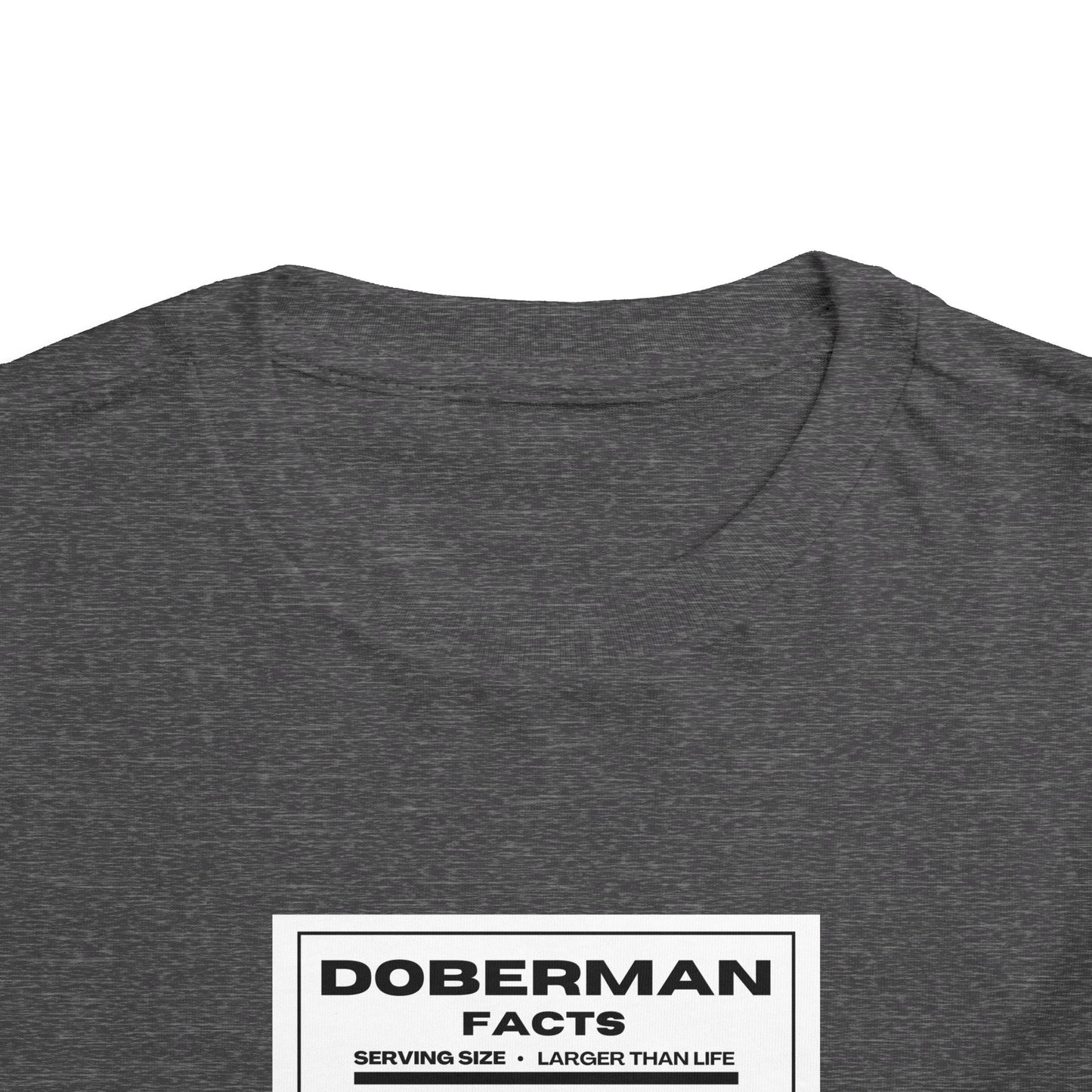 Doberman Facts 1 Toddler Short Sleeve Tee