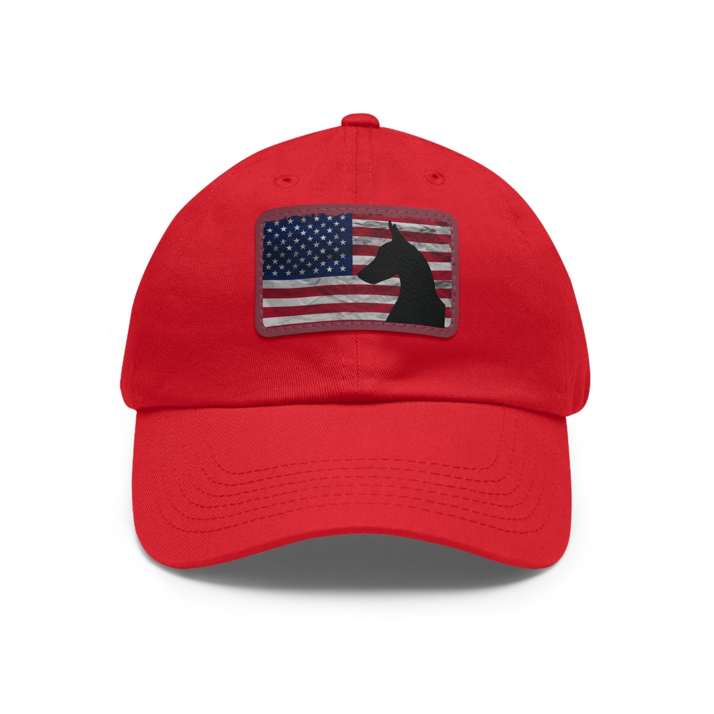 USA 1 Dad Hat with Leather Patch (Rectangle)