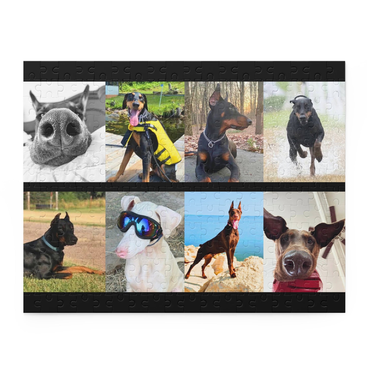 Limited Edition Doberman Community Jigsaw Puzzle 10