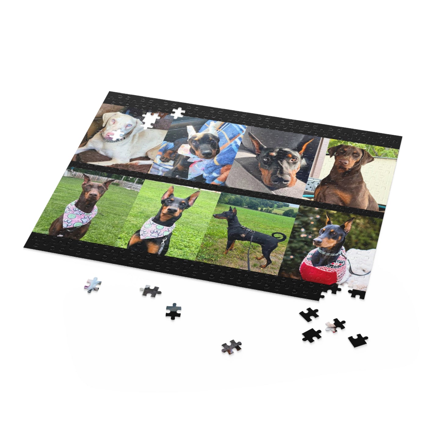 Limited Edition Doberman Community Jigsaw Puzzle 7