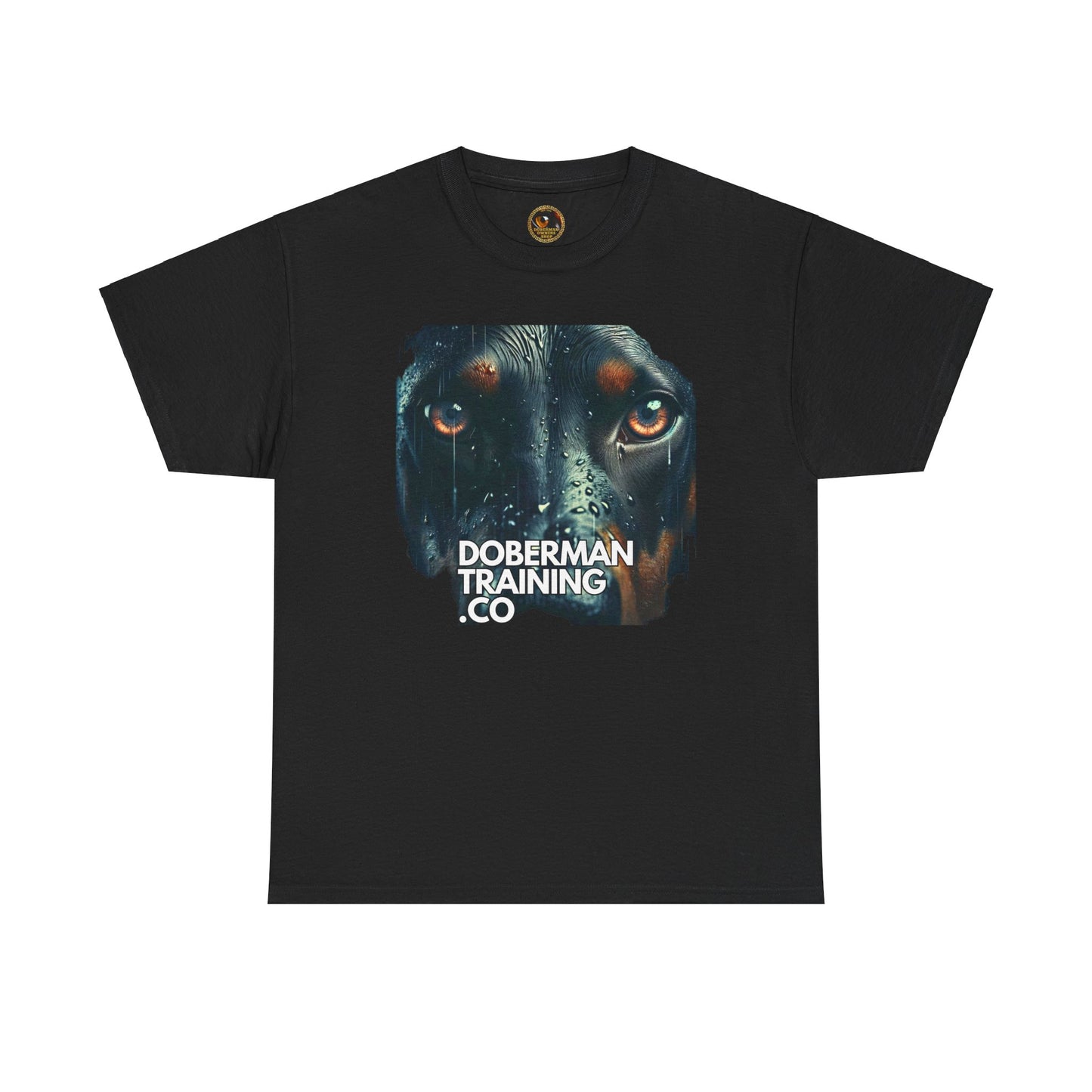 Training Group 2 Private Lable Unisex Heavy Cotton Tee