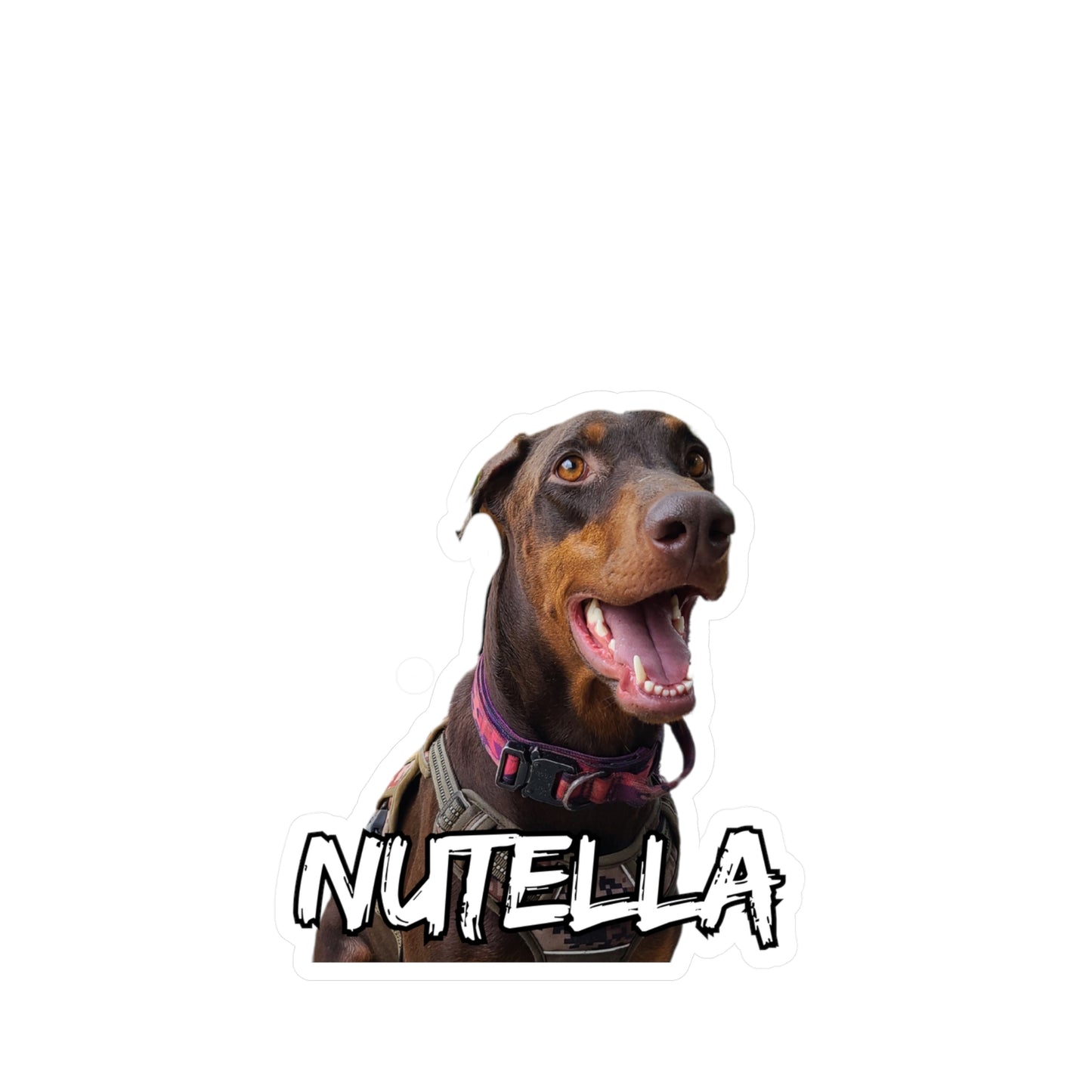 Regal Custom Doberman Vinyl Decals