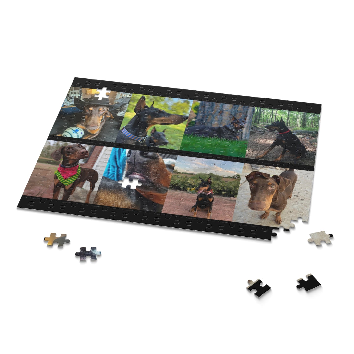 Limited Edition Doberman Community Jigsaw Puzzle 1