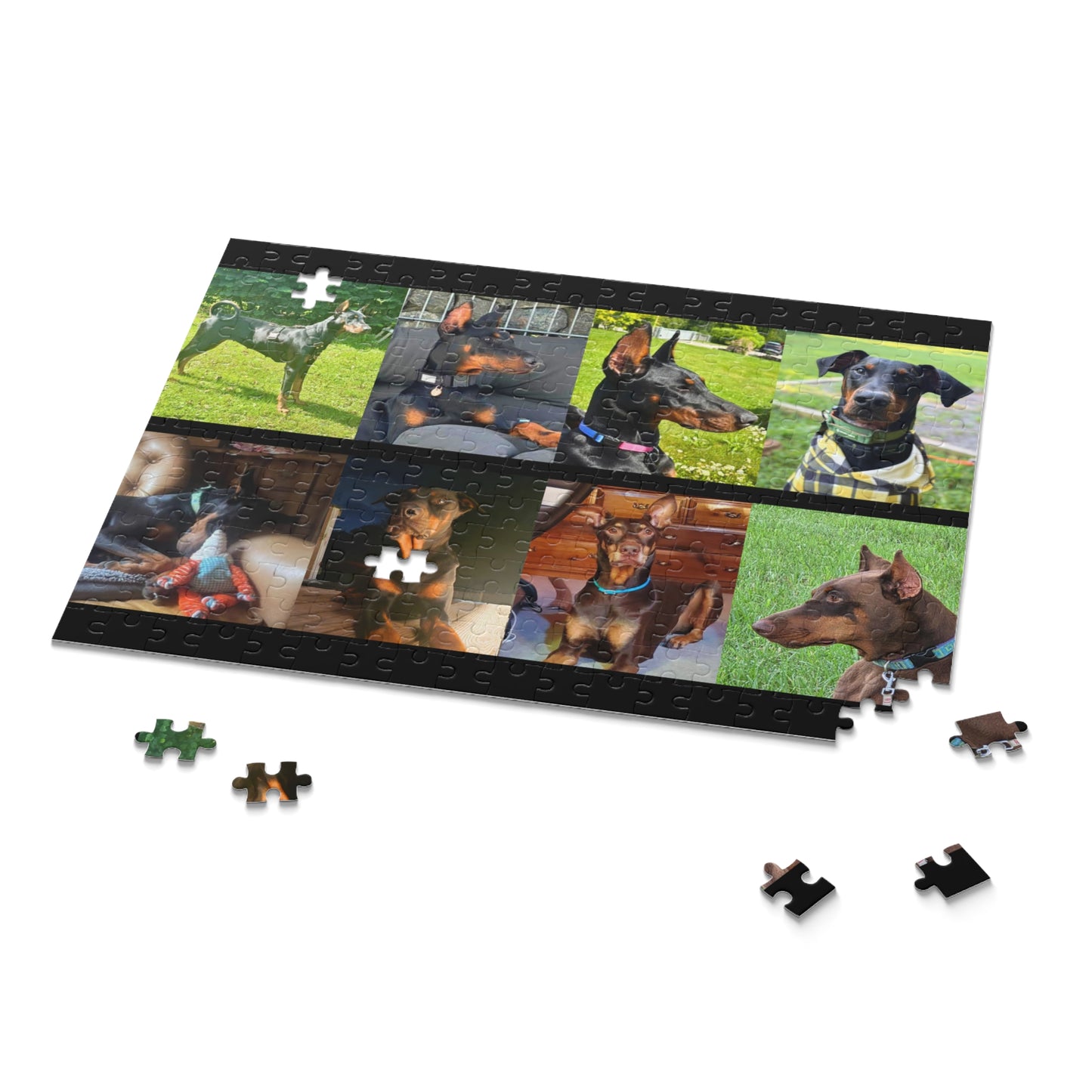 Limited Edition Doberman Community Jigsaw Puzzle 6