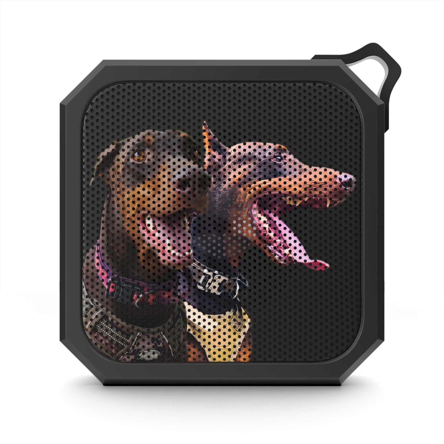 Blackwater Outdoor Bluetooth Speaker