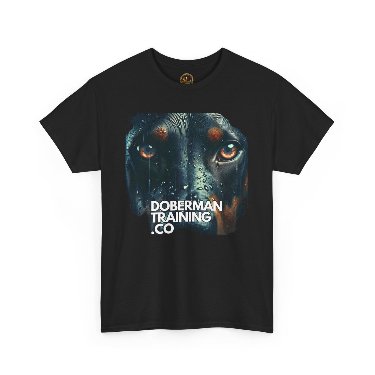 Training Group 2 Private Lable Unisex Heavy Cotton Tee