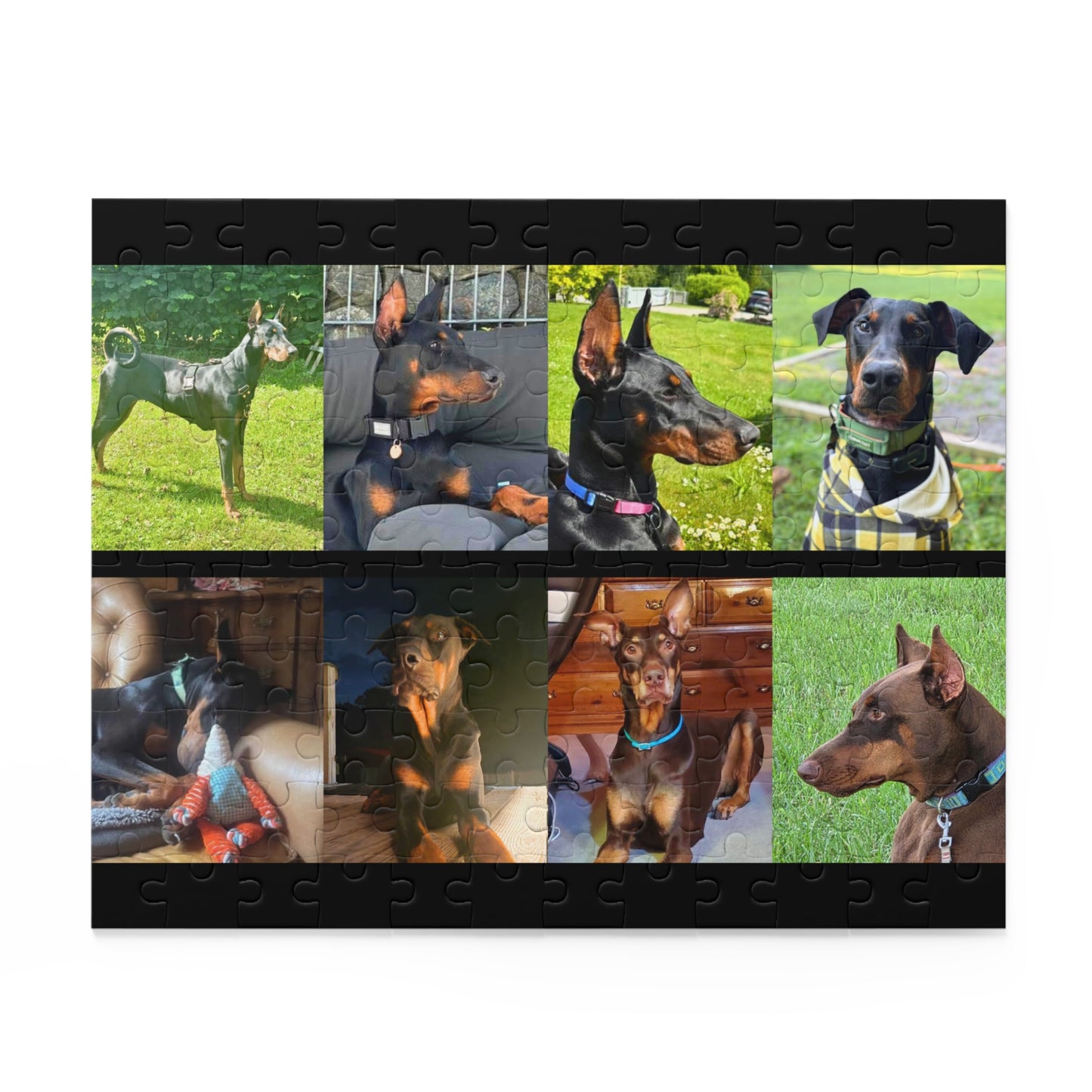 Limited Edition Doberman Community Jigsaw Puzzle 6