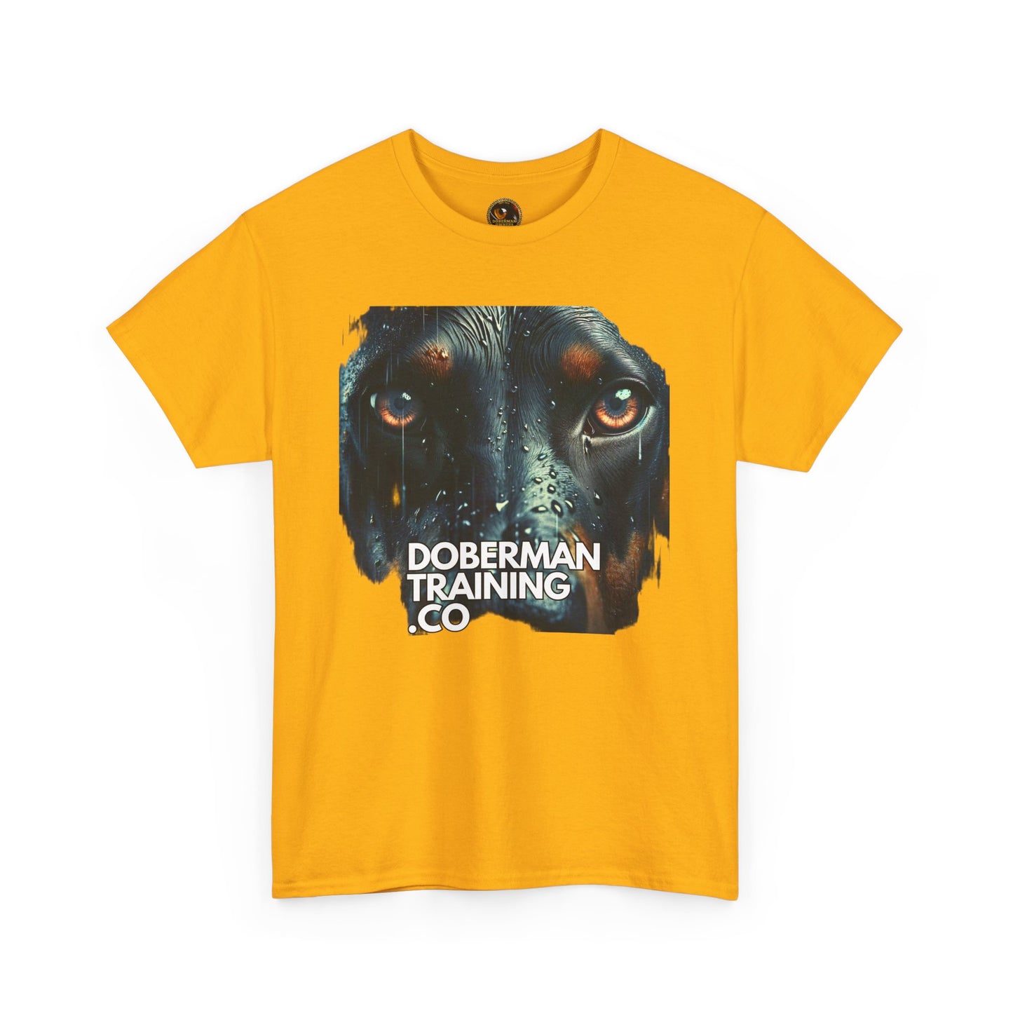 Training Group 2 Private Lable Unisex Heavy Cotton Tee