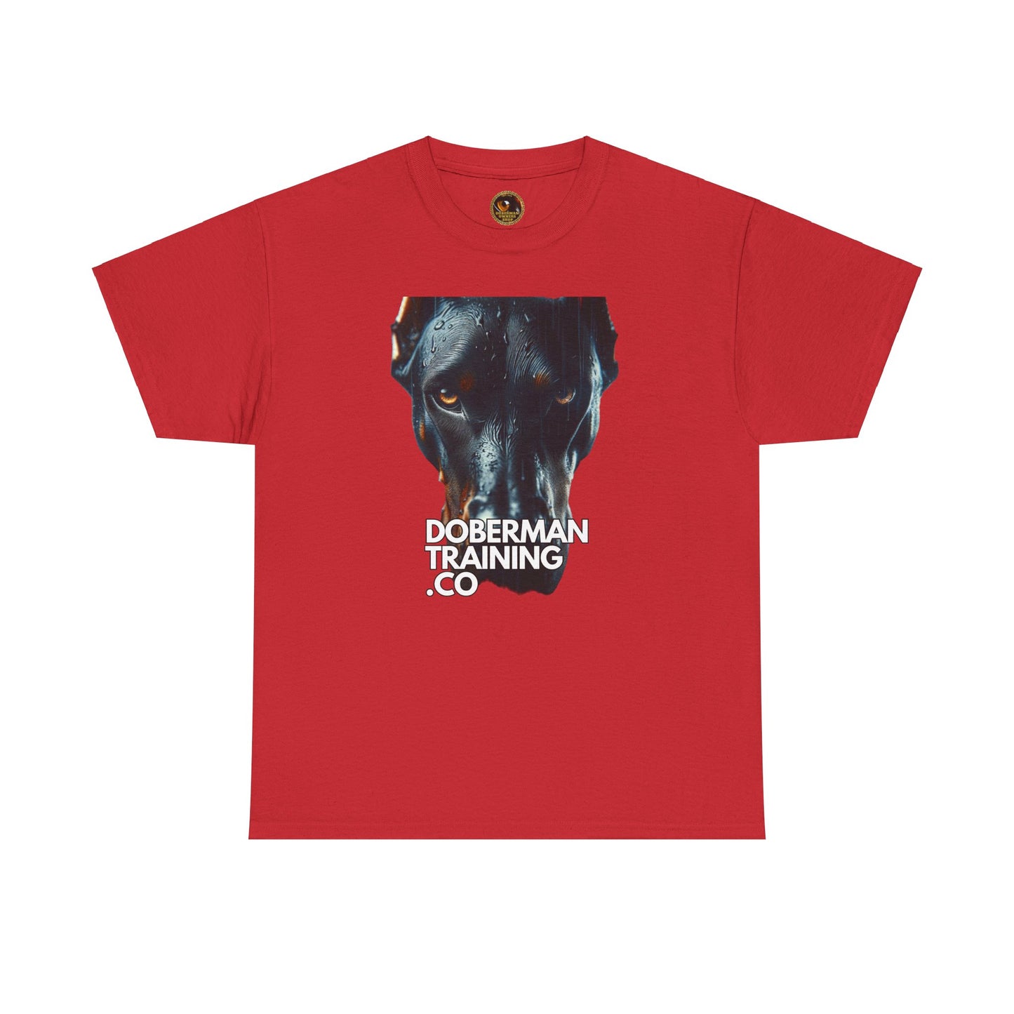 Training Group 4 Private Lable Unisex Heavy Cotton Tee
